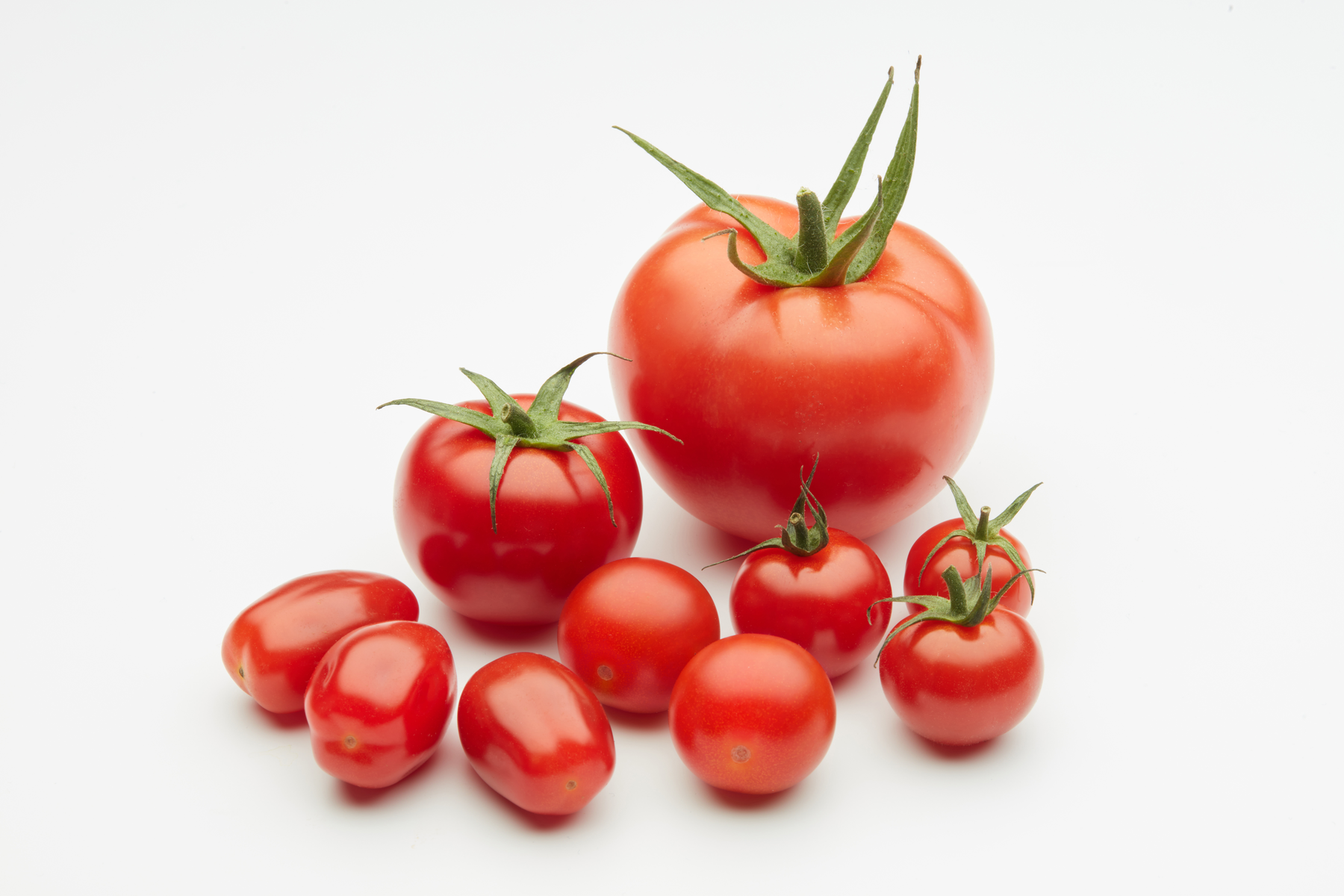KWS tomato