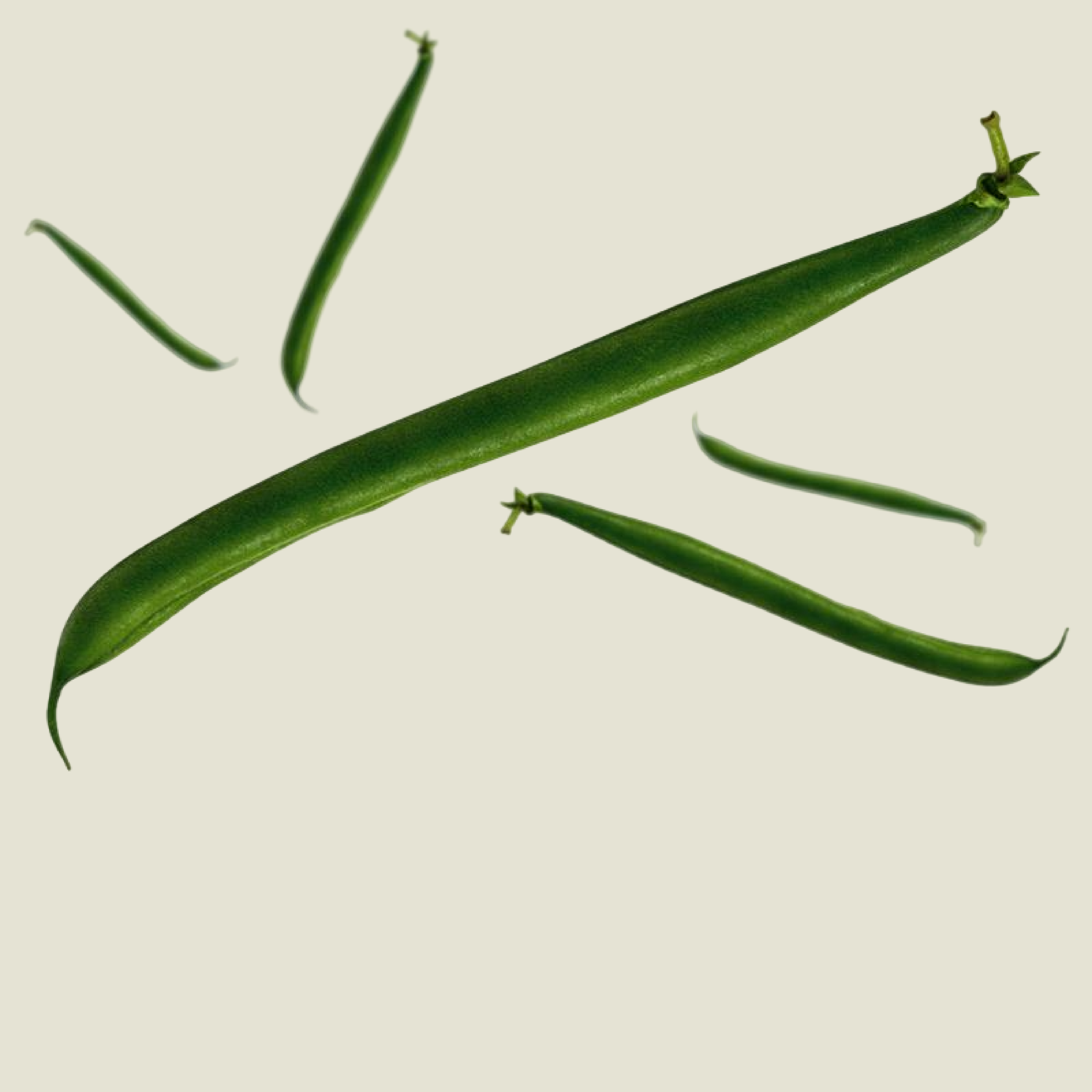 KWS_Vegetables_Product_Teaser_Beans.jpg