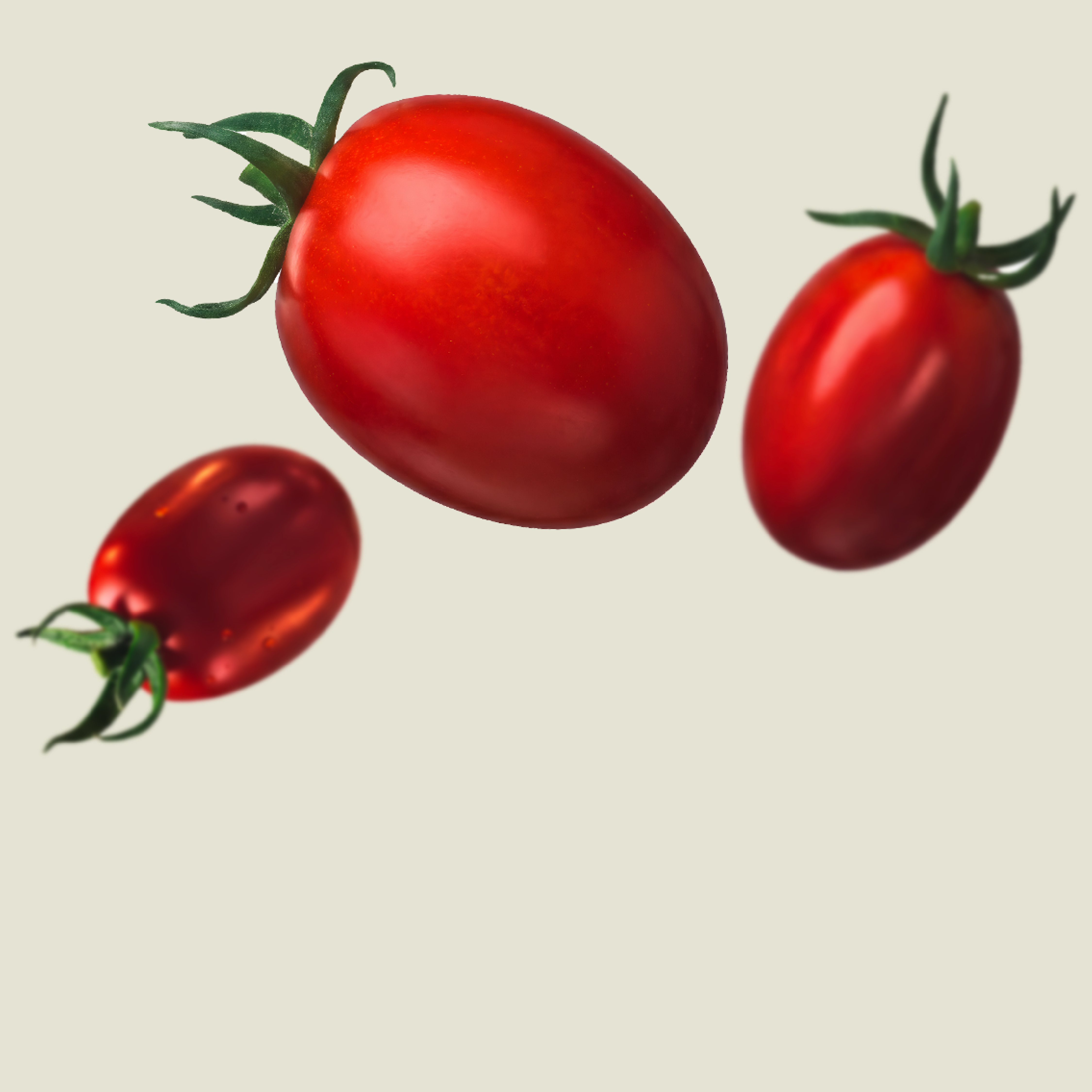 KWS_Vegetables_Product_Teaser_Tomato.jpg
