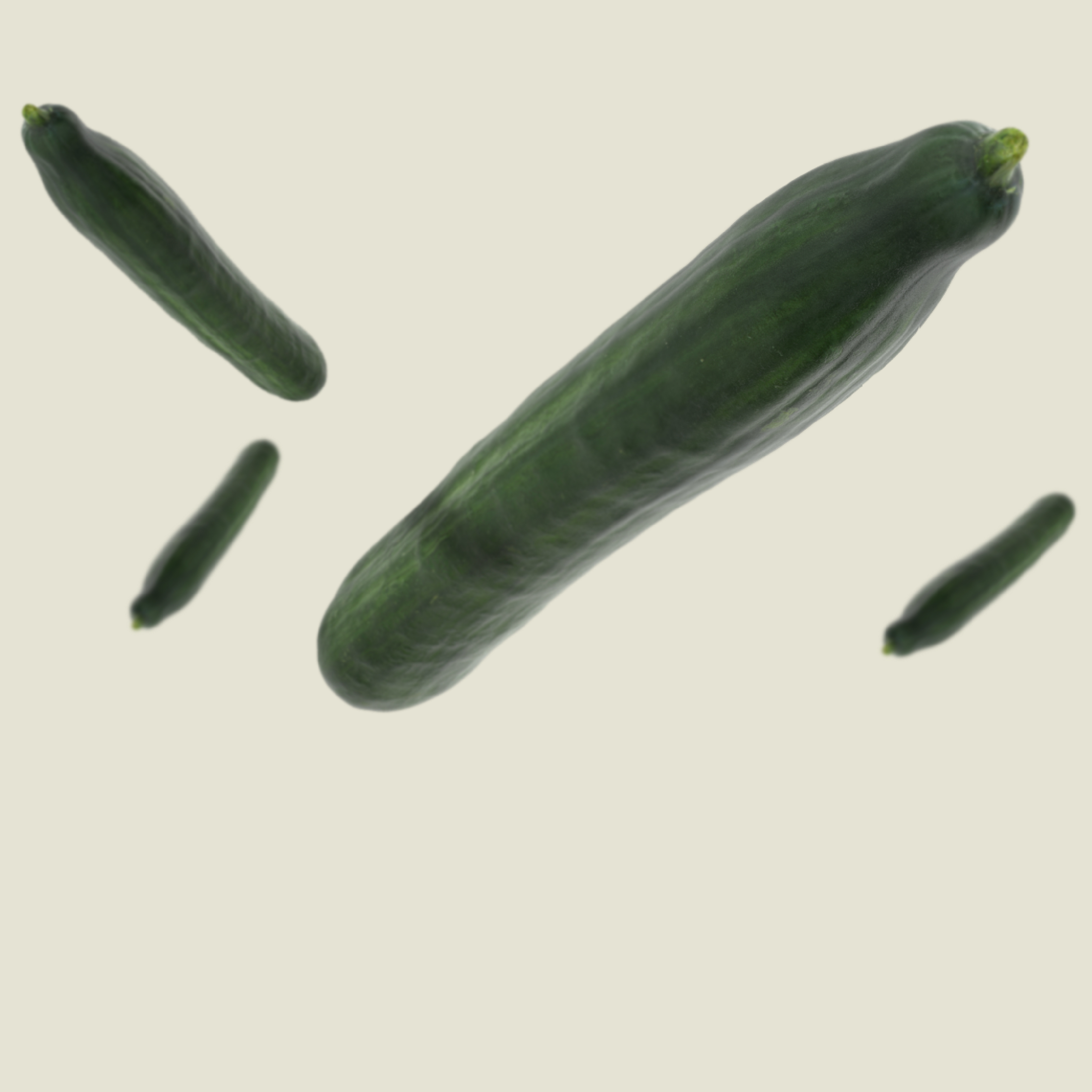 KWS_Vegetables_Product_Teaser_cucumber.jpg