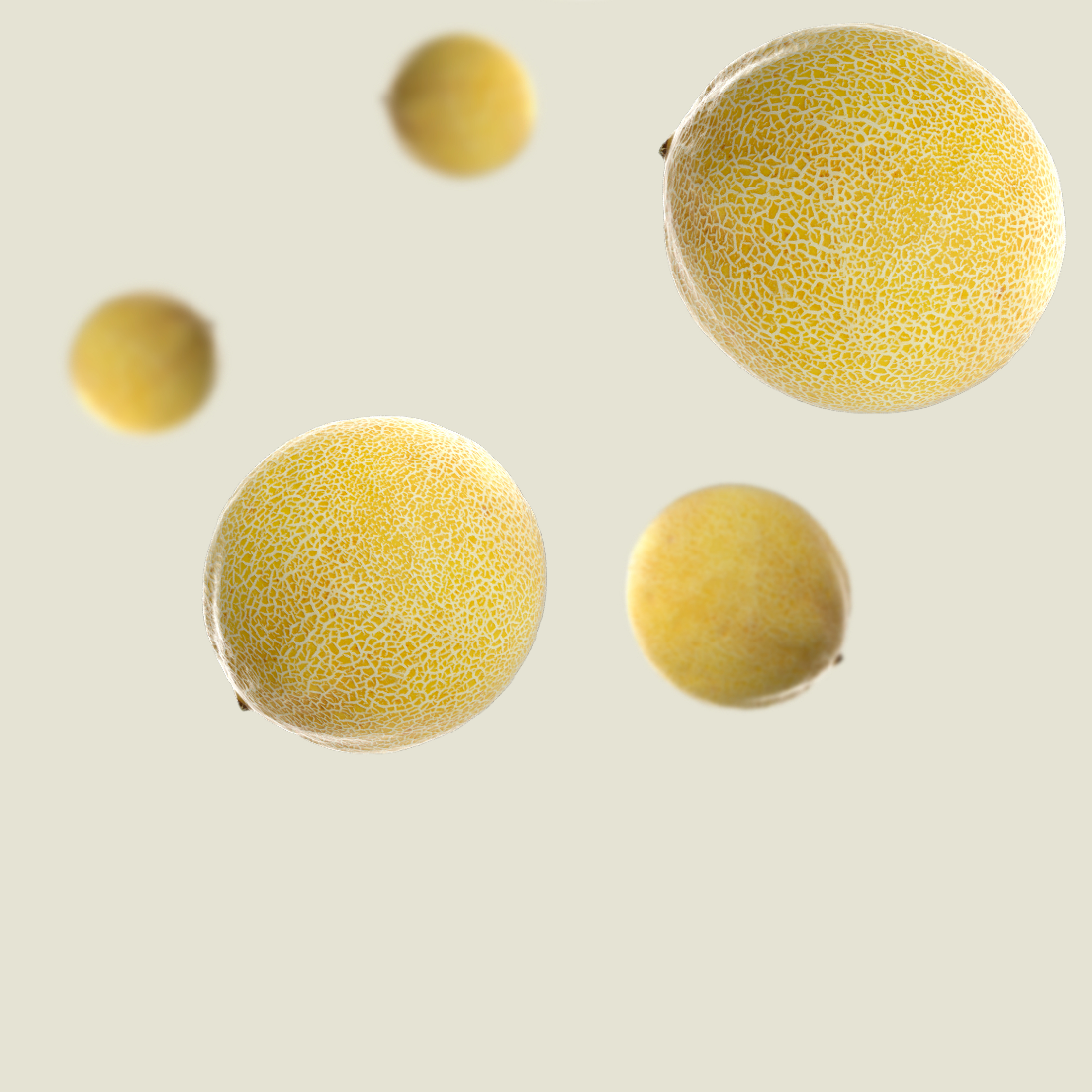 KWS_Vegetables_Product_Teaser_melon.jpg