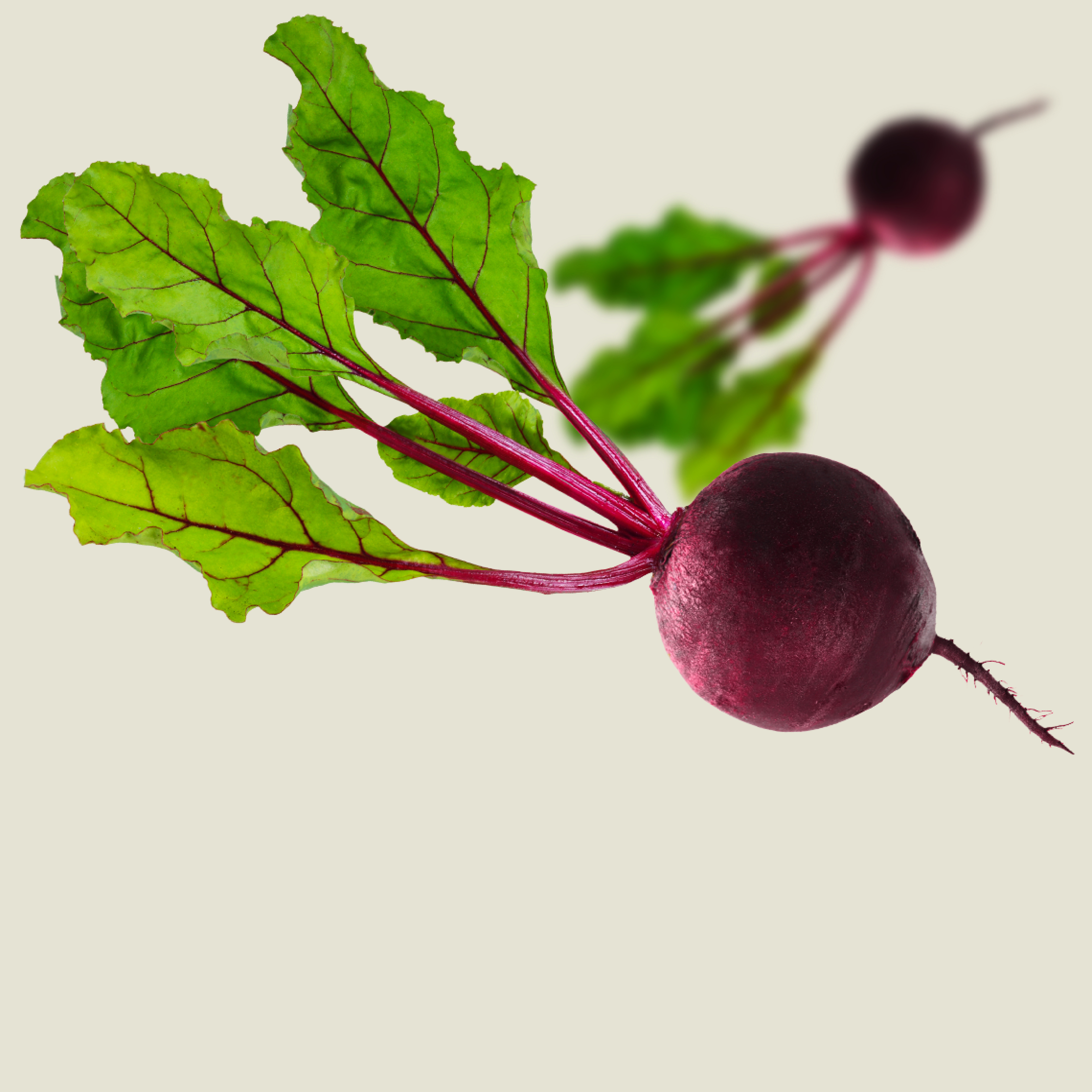 KWS_Vegetables_Product_Teaser_red_beet.jpg