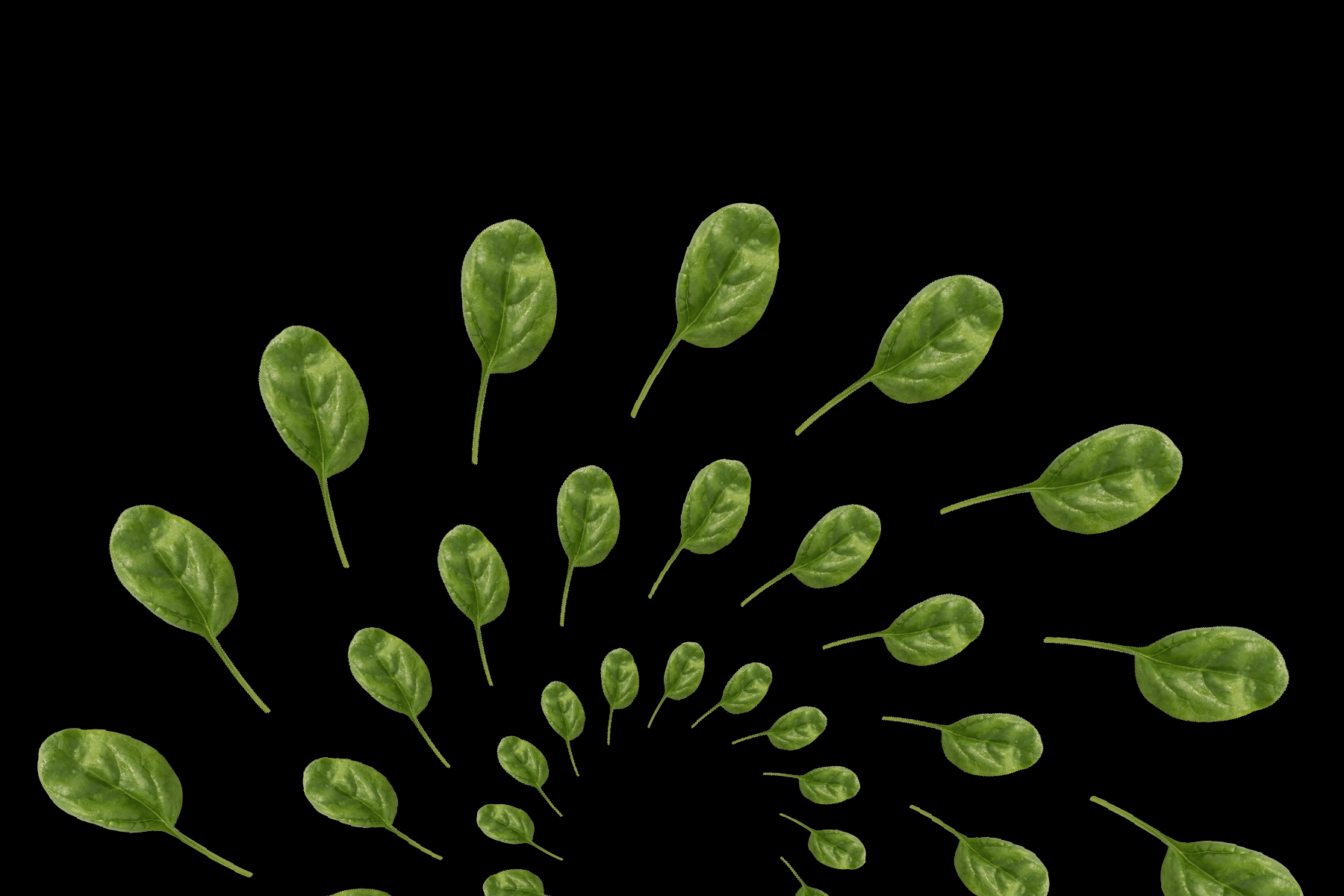 KWS_vegetables_Spinach365_Header.jpg