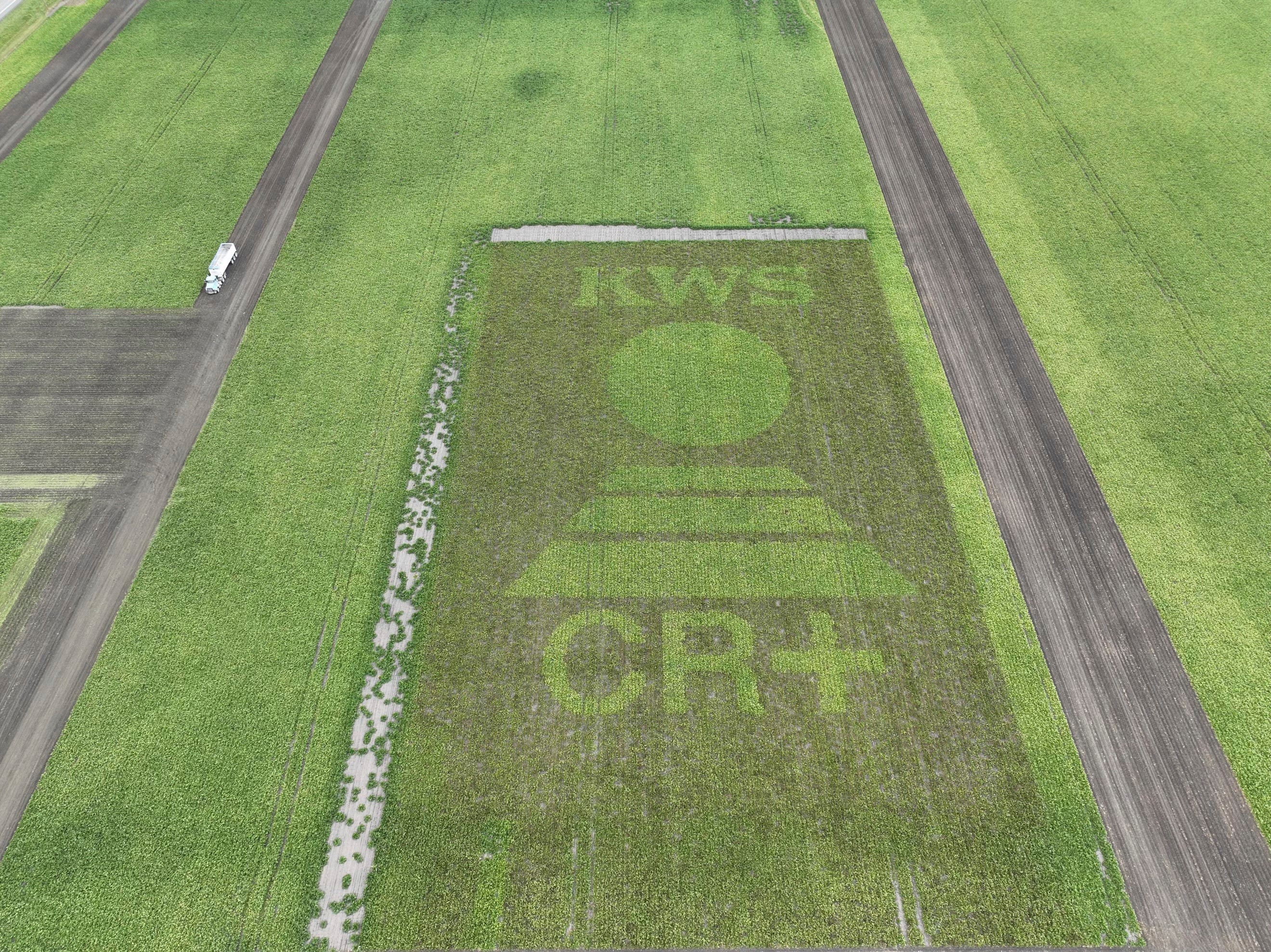 cr__field_with_kws_logo_us.jpg