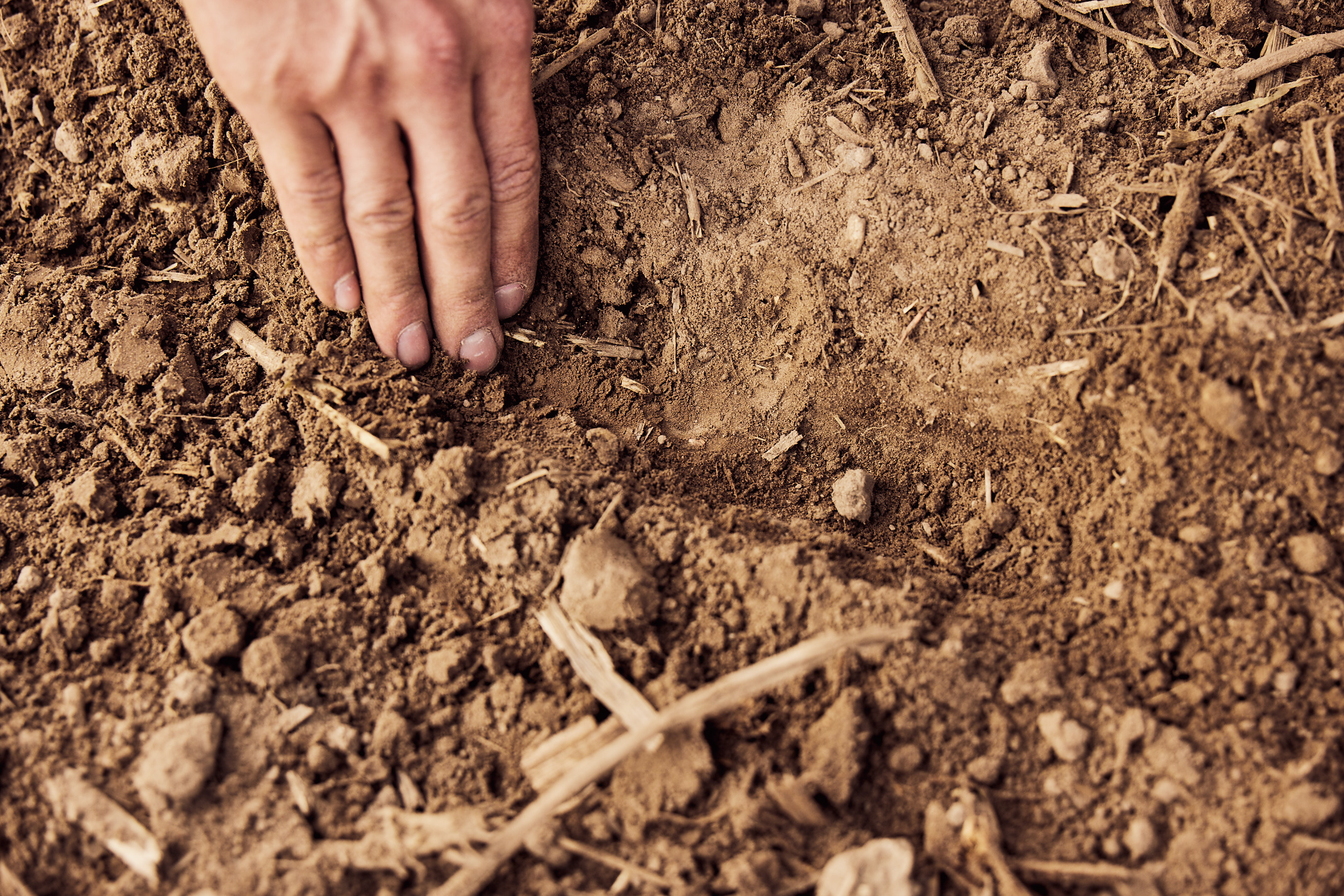 KWS0920_rye_sowing_farmer_hand_on_field_0051.jpg