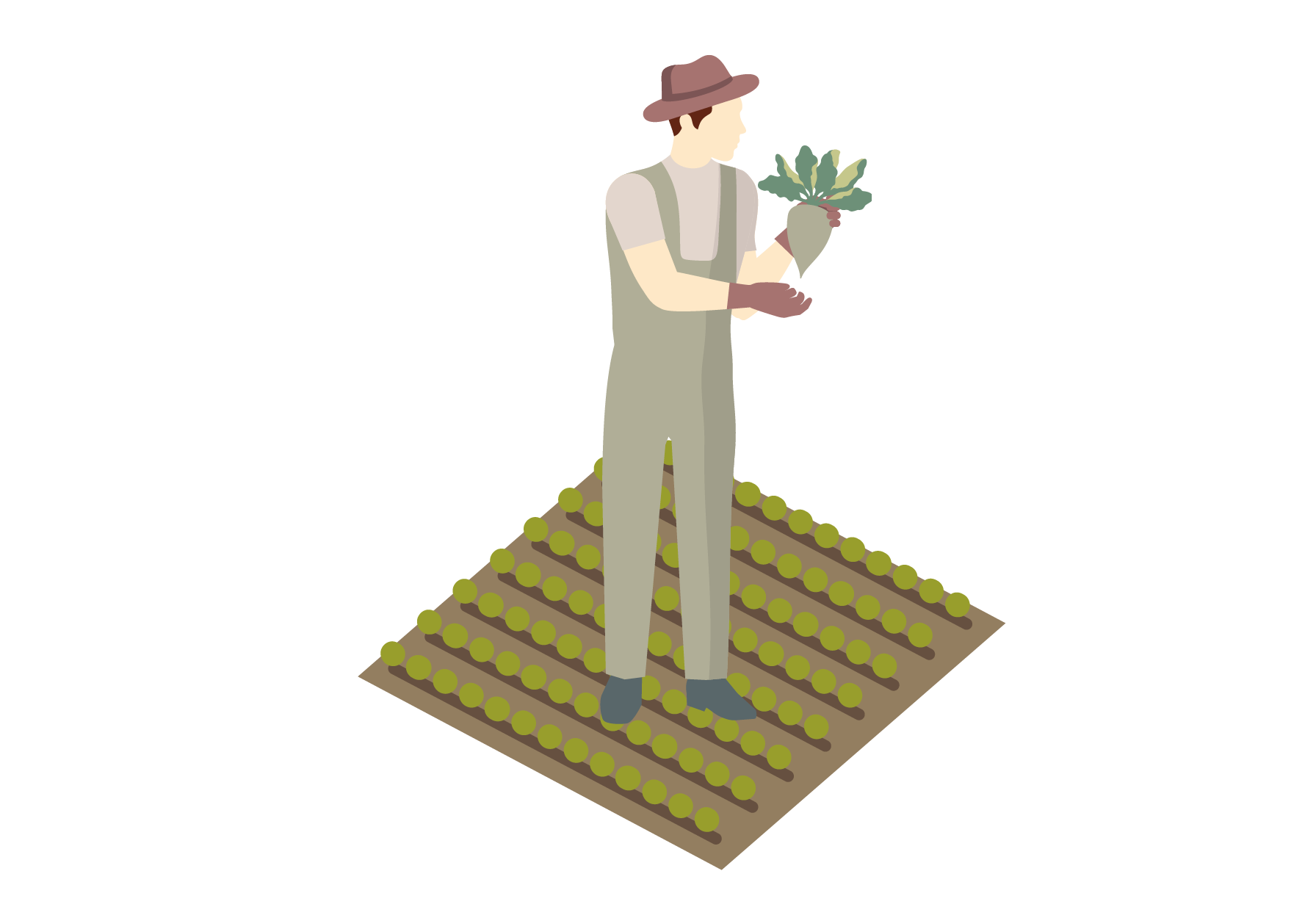 farmer_with_beet.png