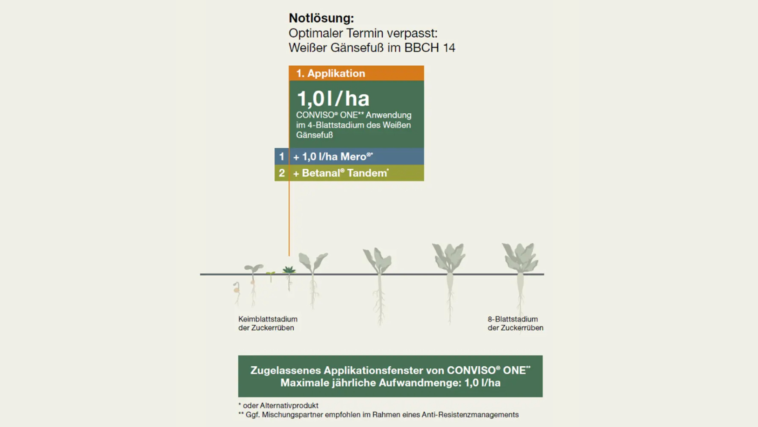 * Es gelten länderspezifische Empfehlungen