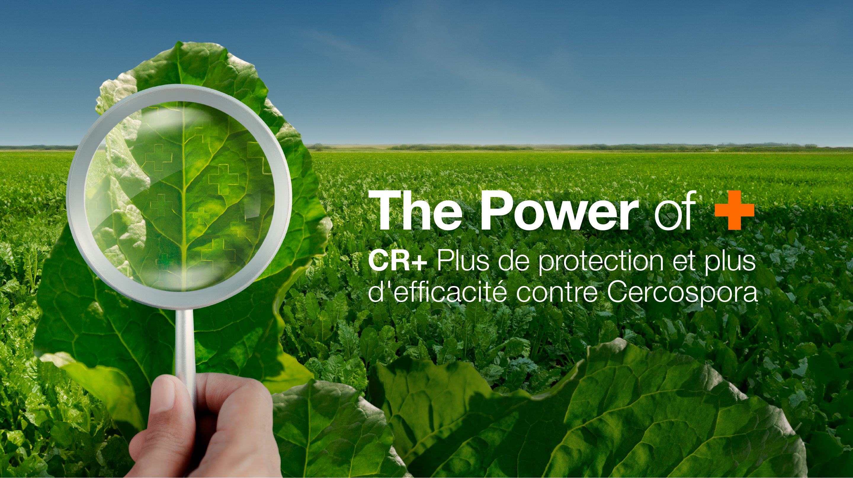 CR-2025-THE-POWER-OF-Landing-Page-FR.jpg