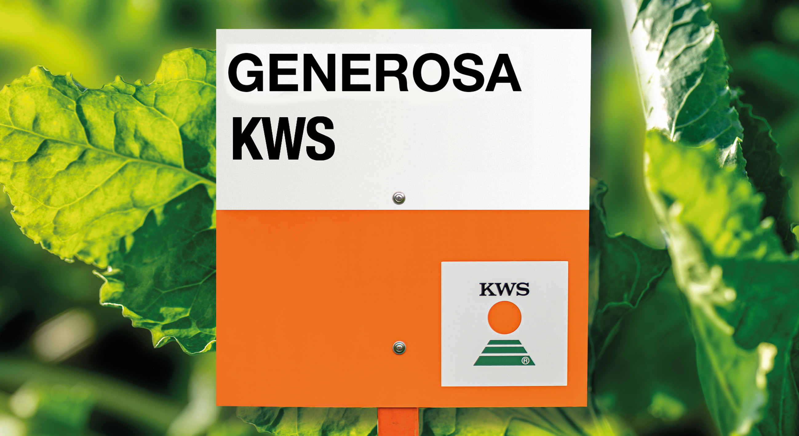 GENEROSA_KWS_Key_visual_16_9.jpg