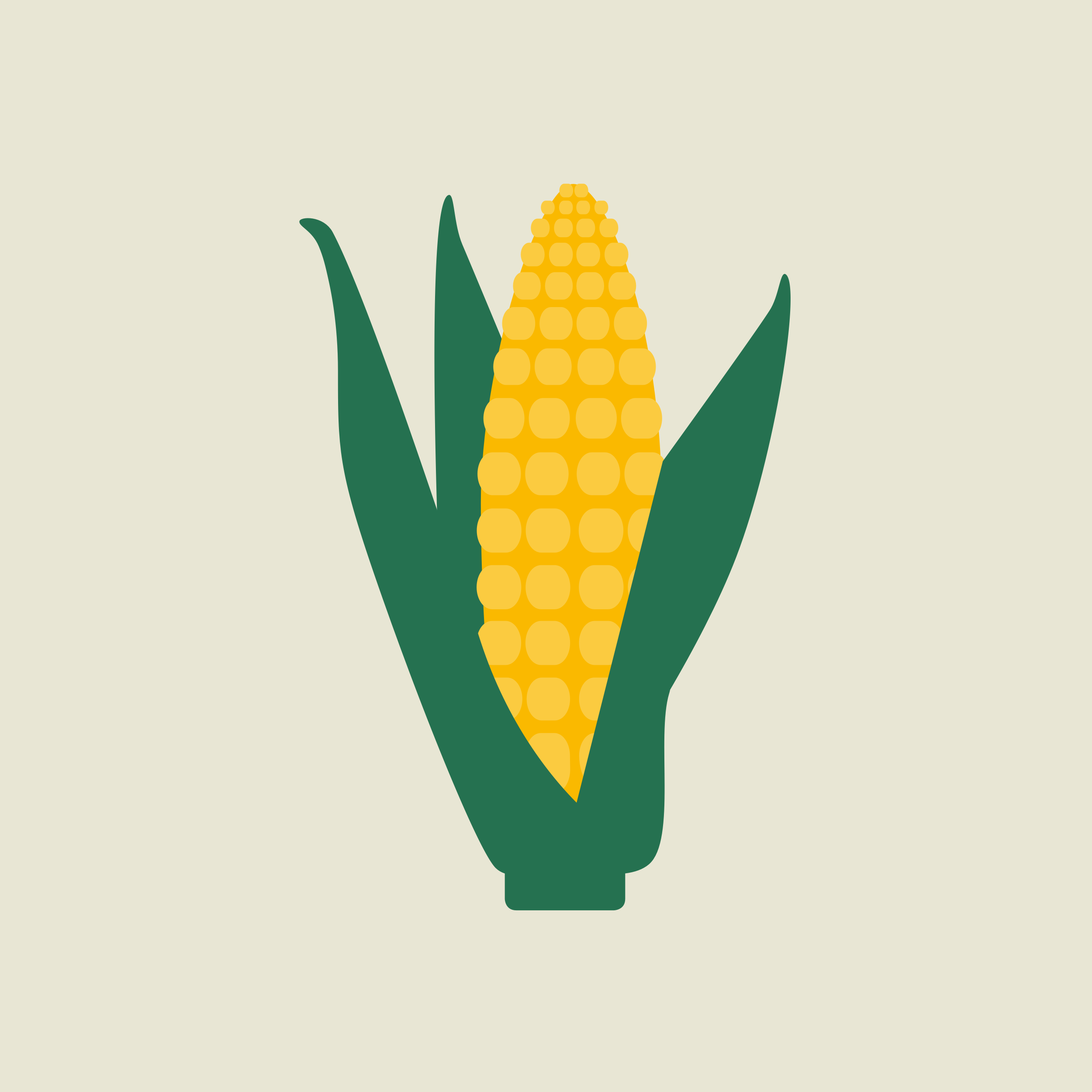 KWS icon maíz