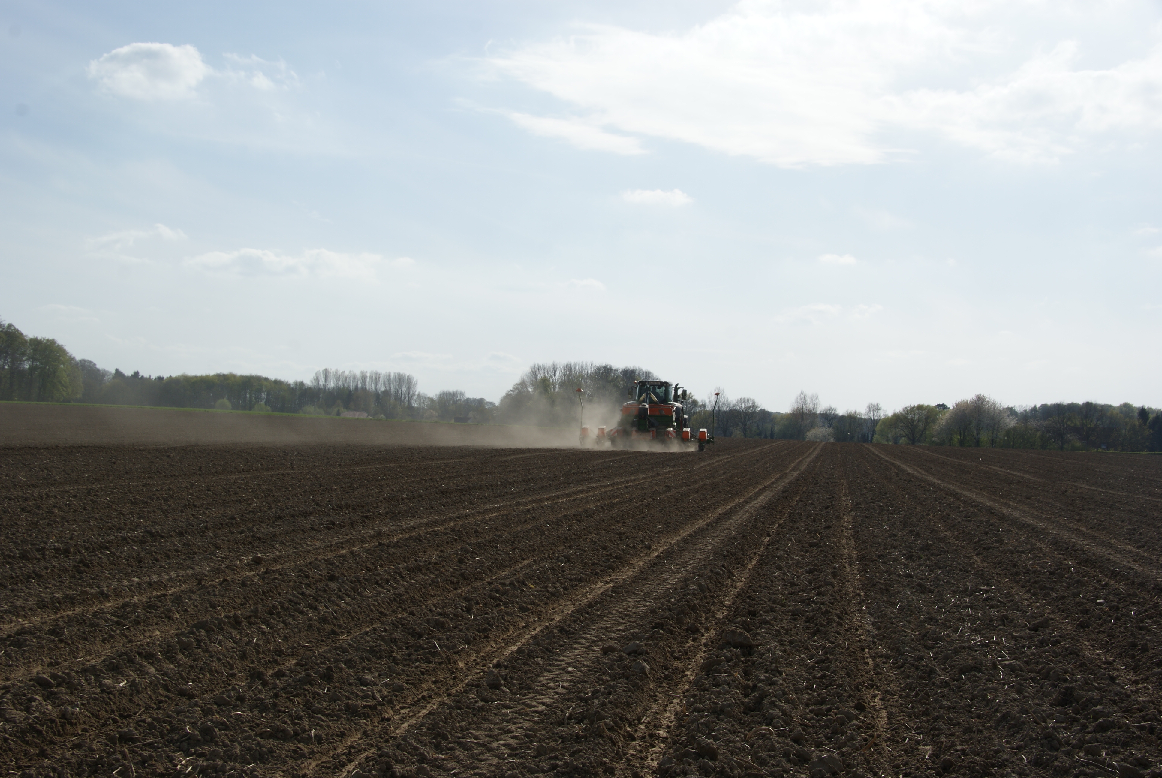 Sowing corn in the field using agricultural machinery. Seeding corn, planting corn