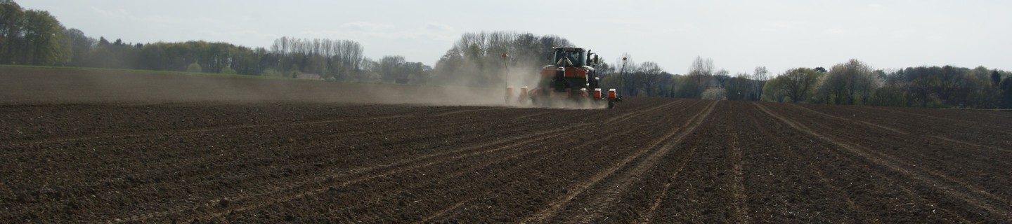 Sowing corn in the field using agricultural machinery. Seeding corn, planting corn