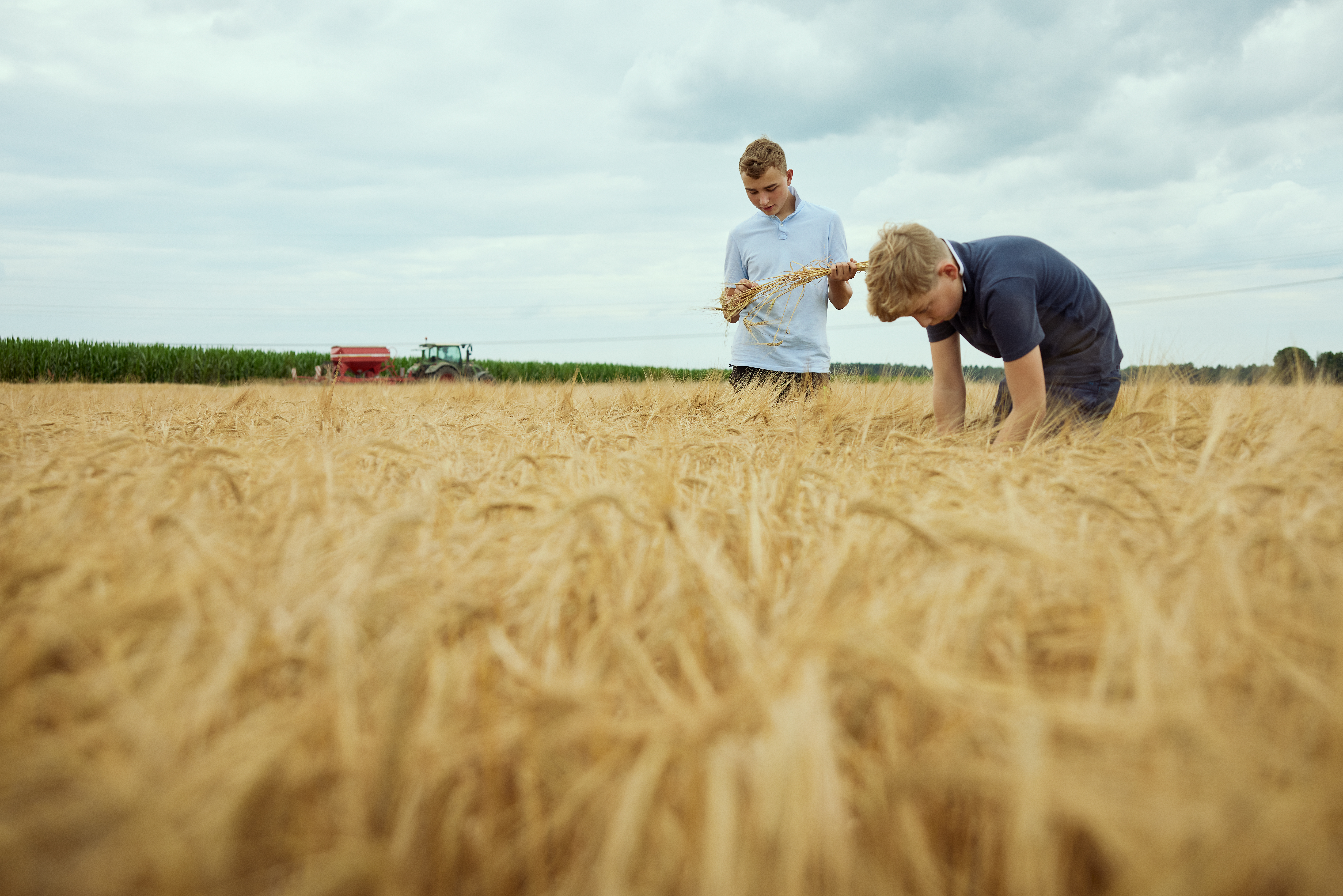 Berufsschulwissen Kinder im Feld 