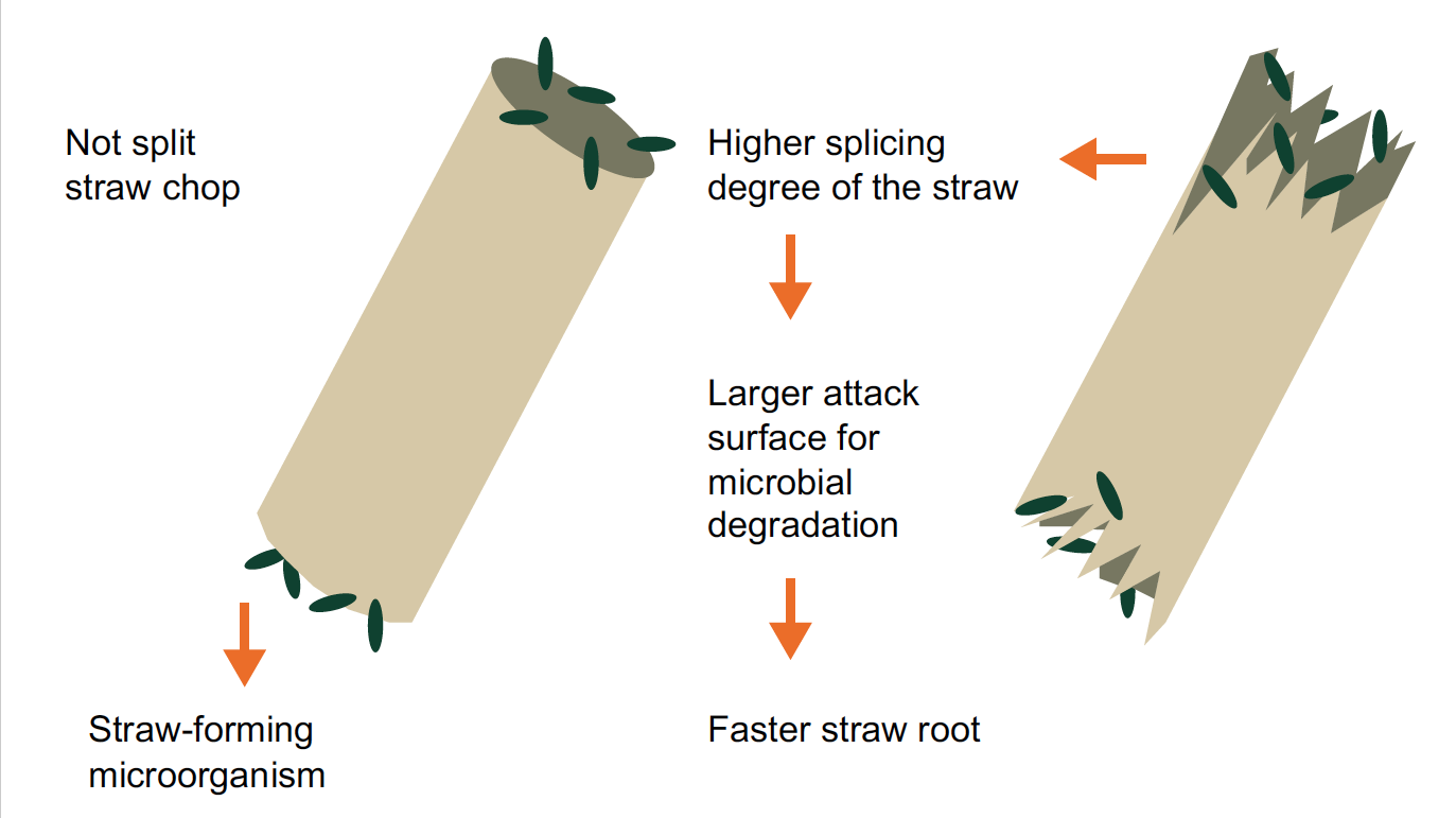 KWS_soil_cultivation_straw_rotting.png