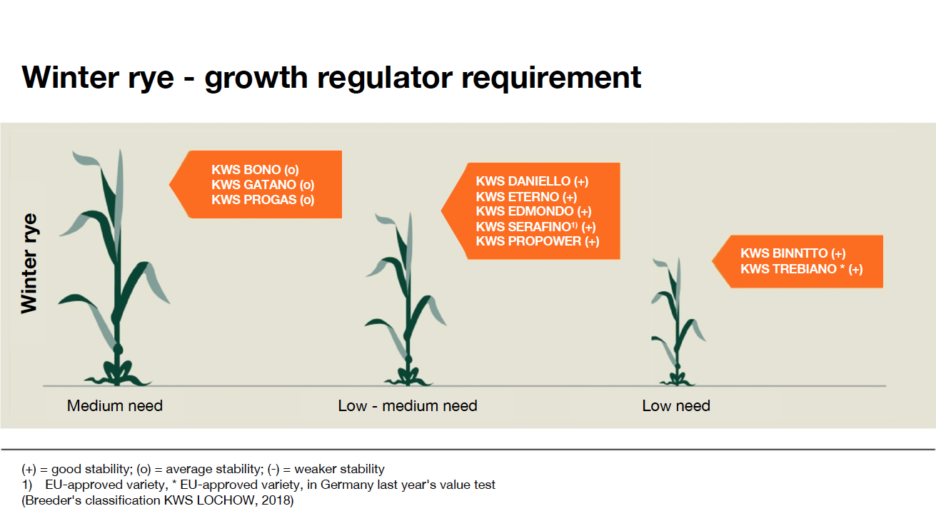 KWS_plantprotection_growth_regulator_winter_rye.png