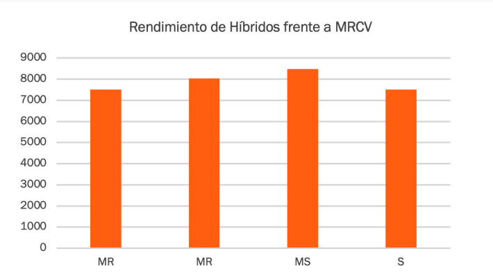 Figura 7: Comportamiento de Híbridos expresado en Incidencia (%) y Severidad (%) frente a alta presión de MRCV en zona de Sampacho durante la campaña 2020/2021. Fuente: Oro Verde Servicios
