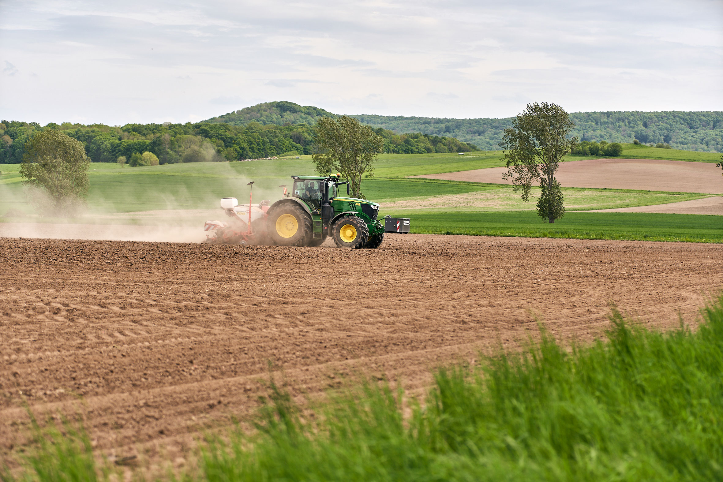 KWS0522_corn_sowing_RT308447.jpg