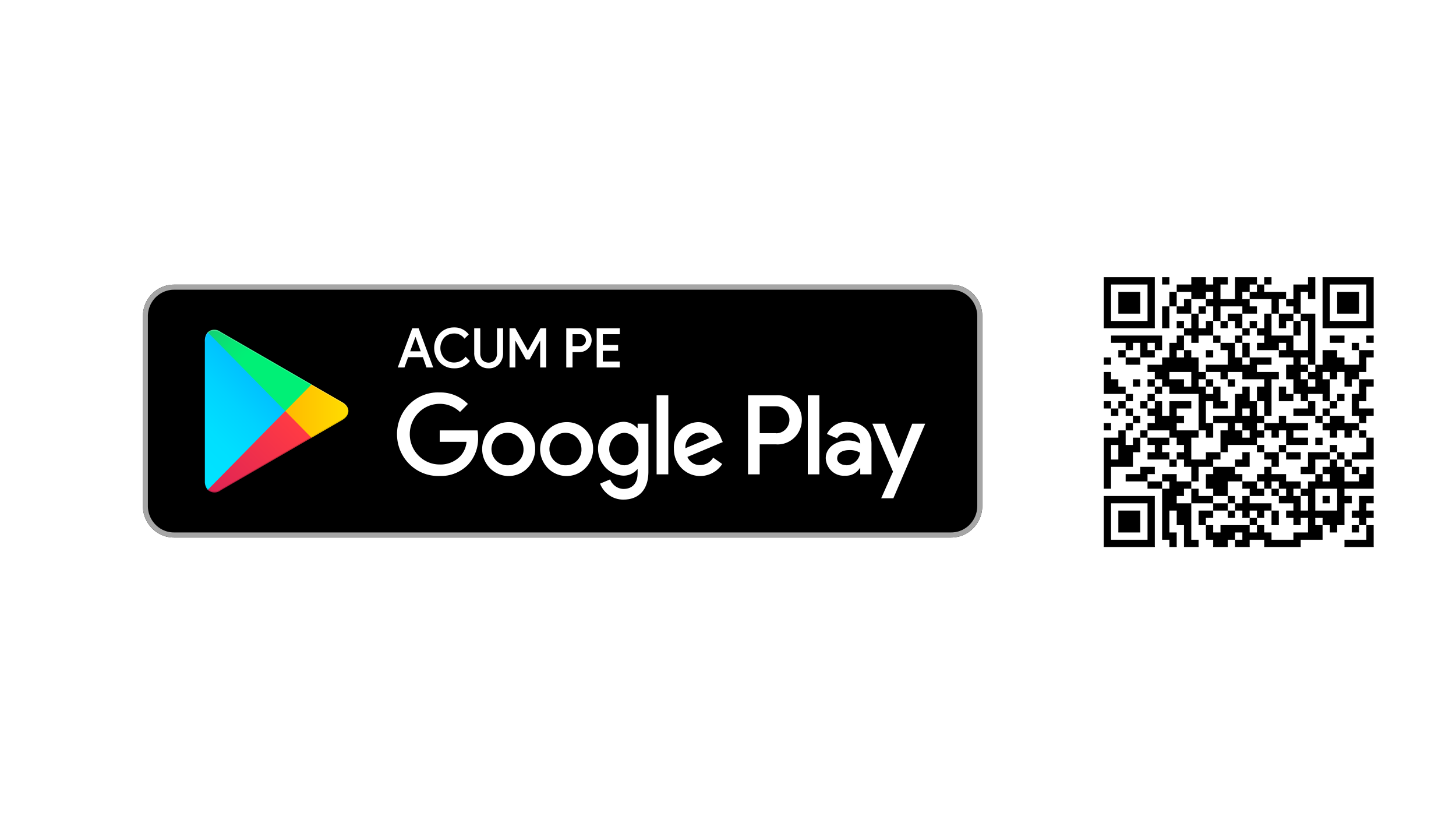 RO_Store_Badges_google.png