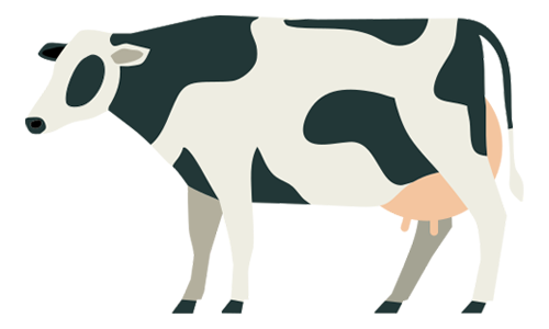 Dairy_Cow_Milchkuh_s2f_16_9_ohne.png