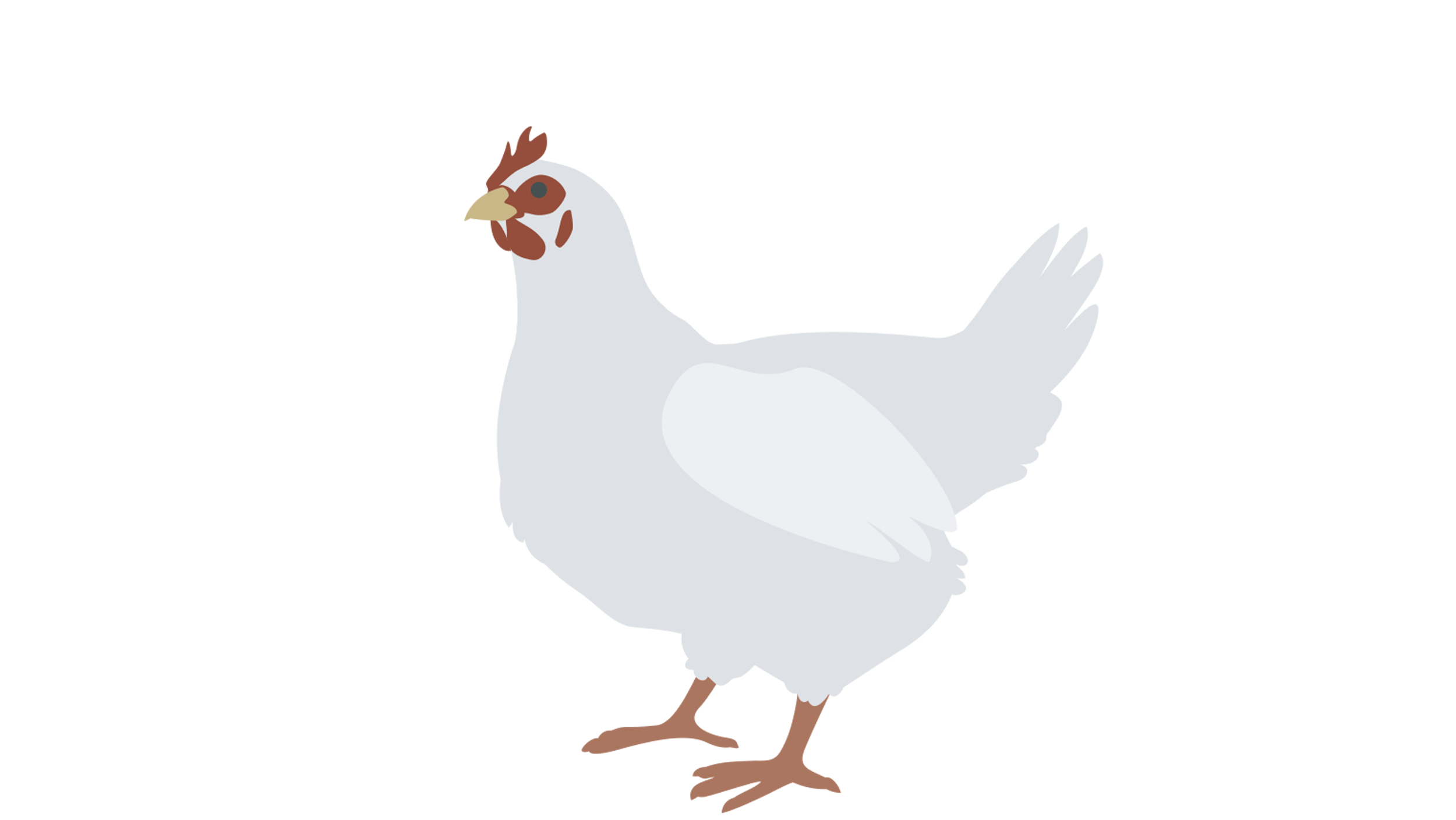 Gefluegel_Broiler_s2f_16_9_2.png