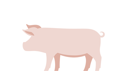 Seed2Feed_Piglet.png