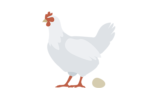 Seed2Feed_Poultry_Broiler.png