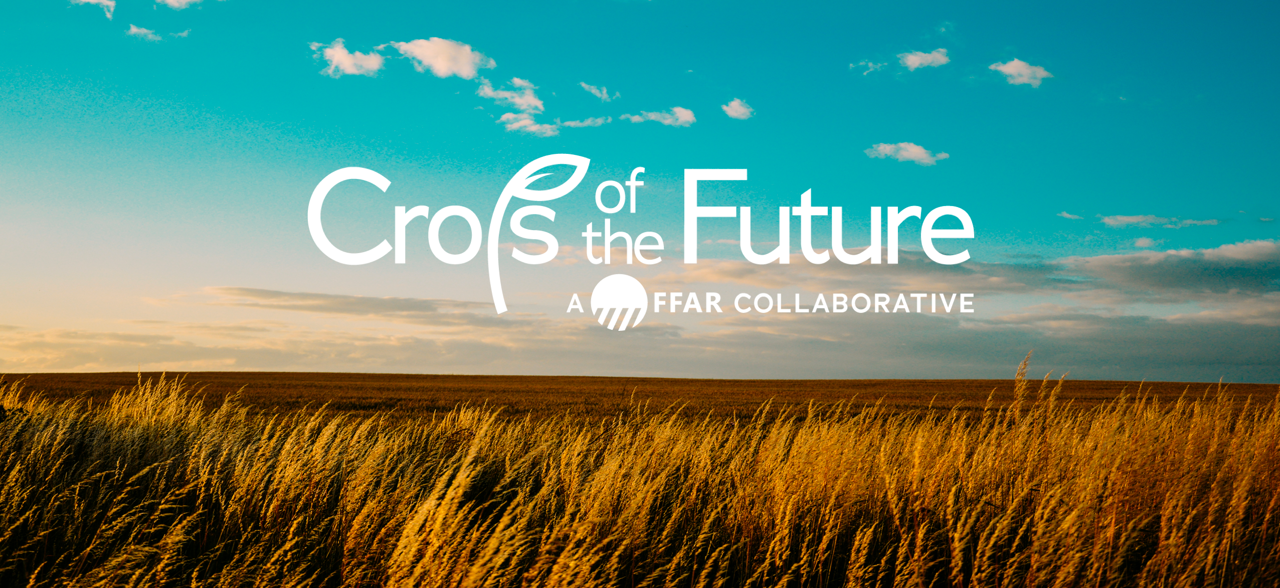 KWS_crops_of_the_future_key_visual_mit_landschaft.png
