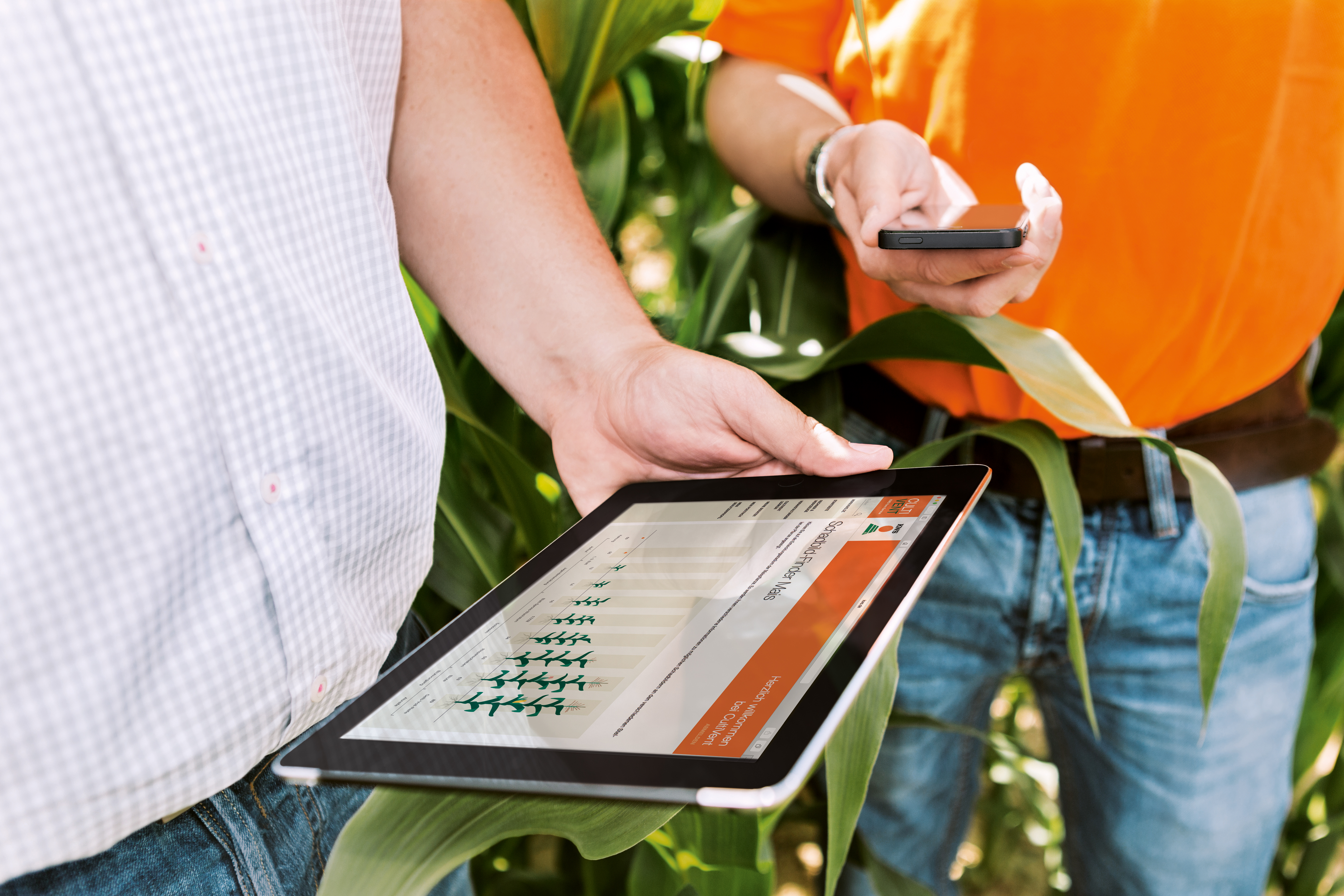Primer plano de dos hombres de pie en un campo de maíz con un teléfono inteligente y una tableta