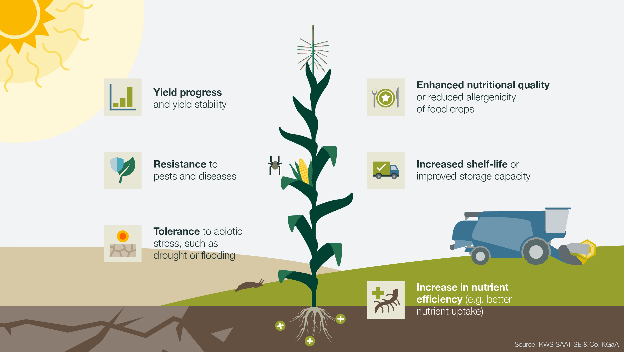 Infographic illustration showing how genome editing can be applied towards new crops with beneficial traits