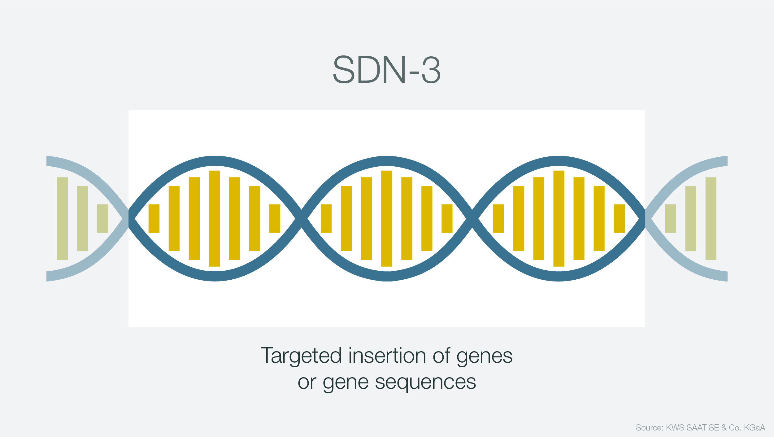 Infographic showing DNA manipulation SDN-3
