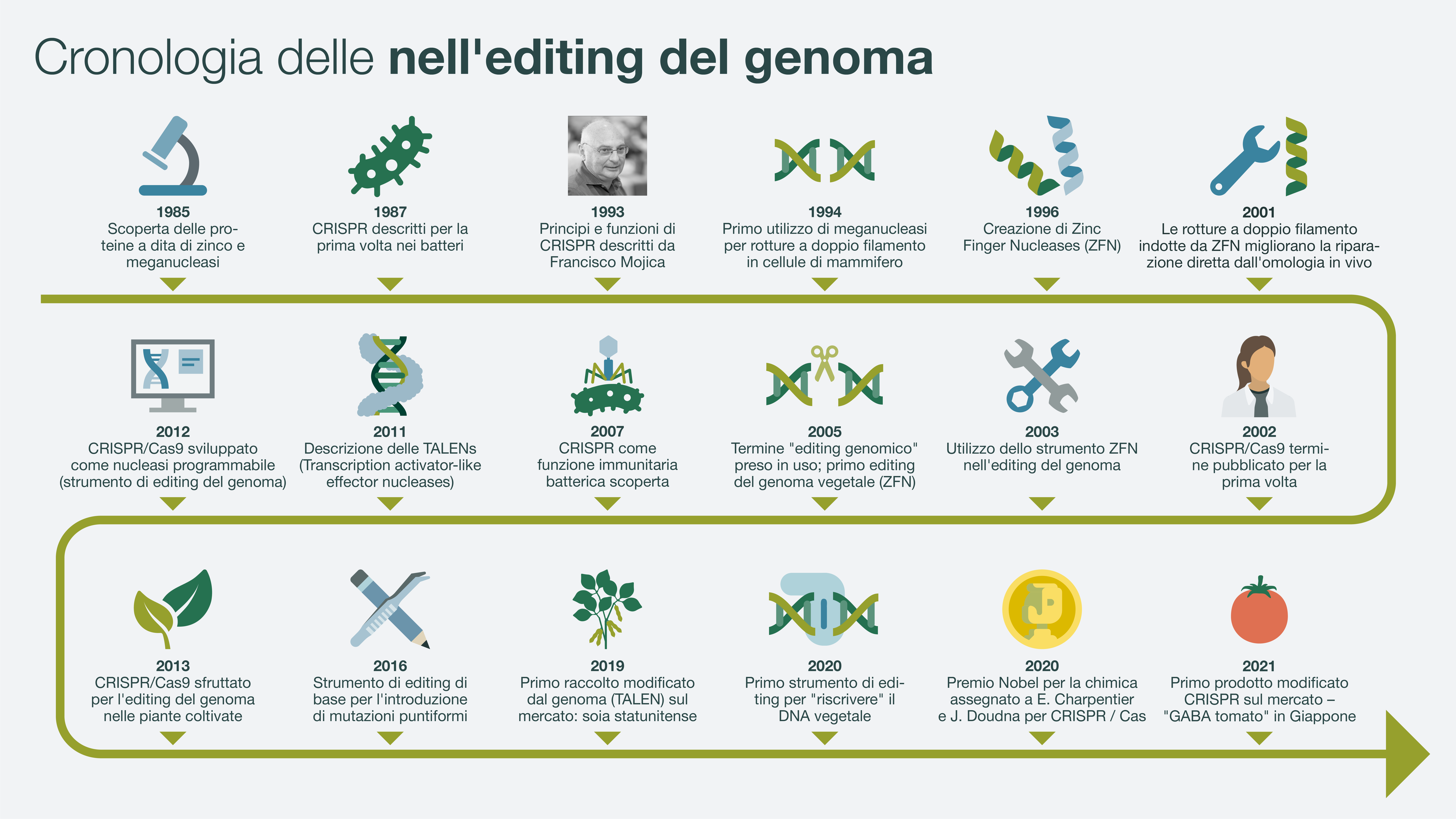 Timeline Infographic showing the most important innovations in genome editing