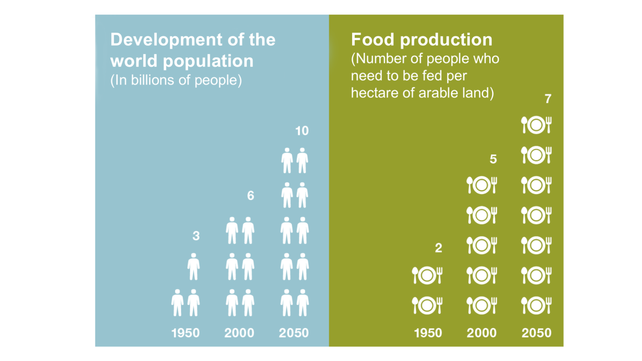 Development of the world and food population