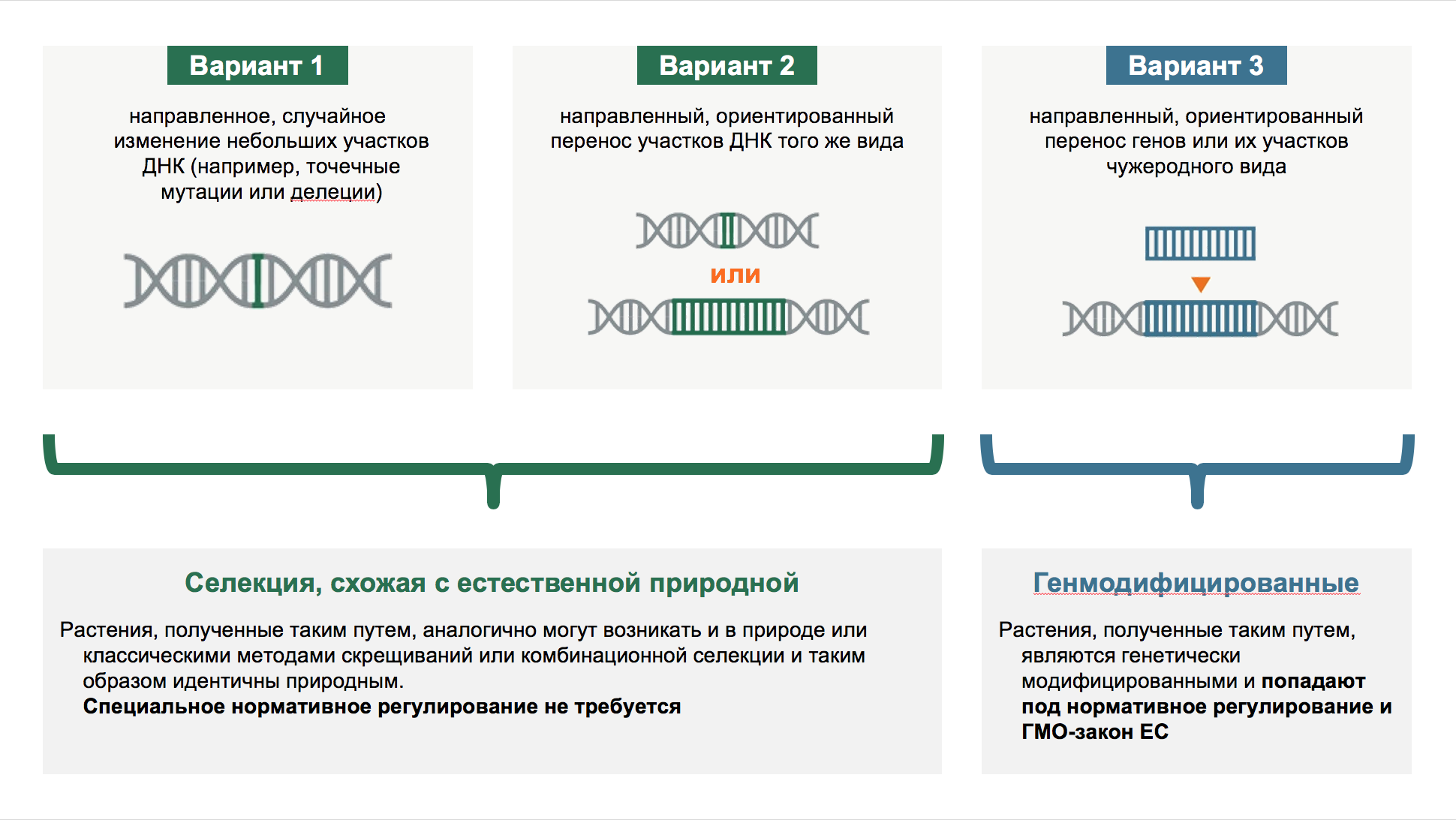 KWS-RU-Innovation-Infographic-future-breeding-opportunities.png