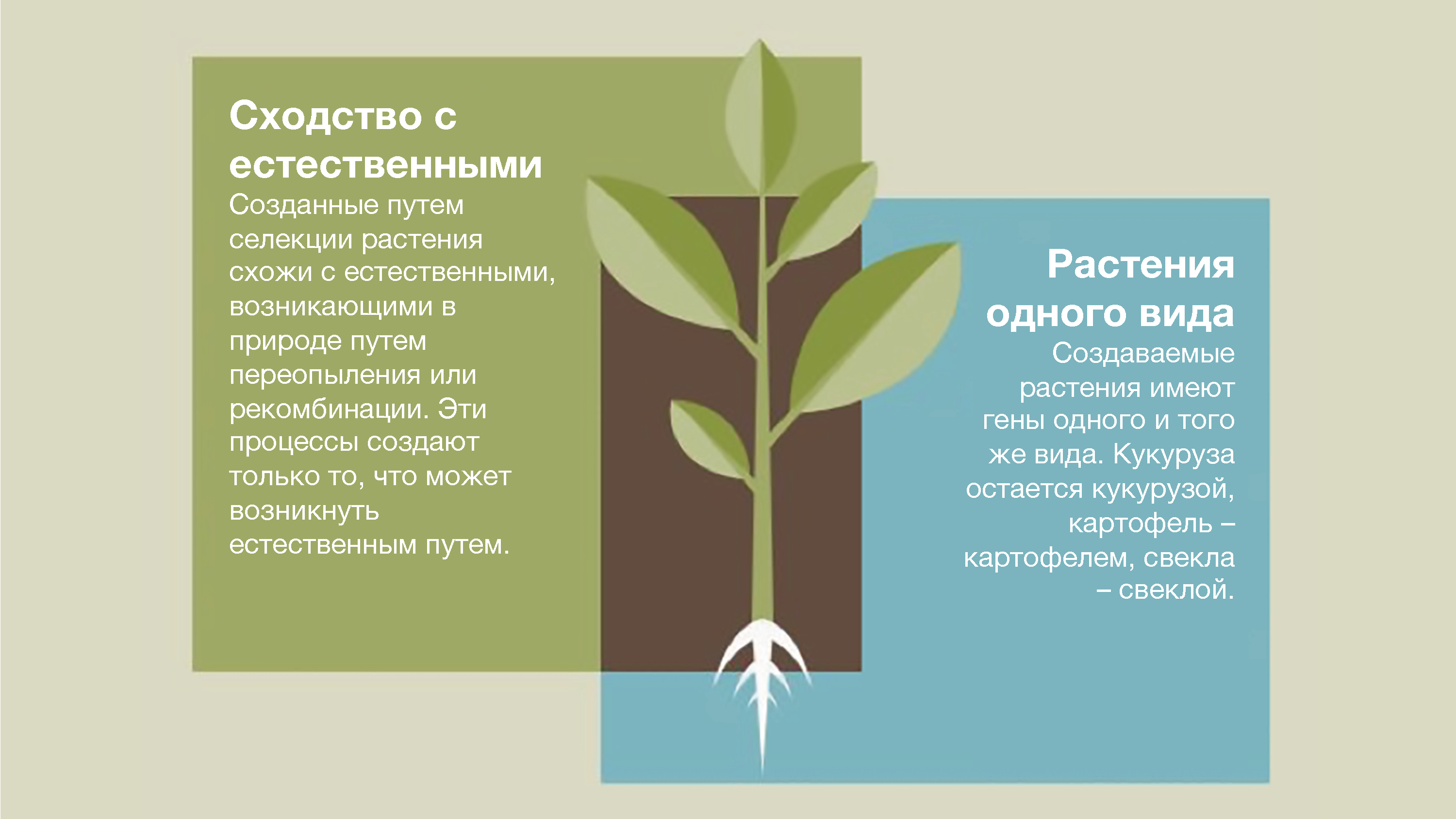 KWS-RU-Innovation-Infographic-future-plant.png