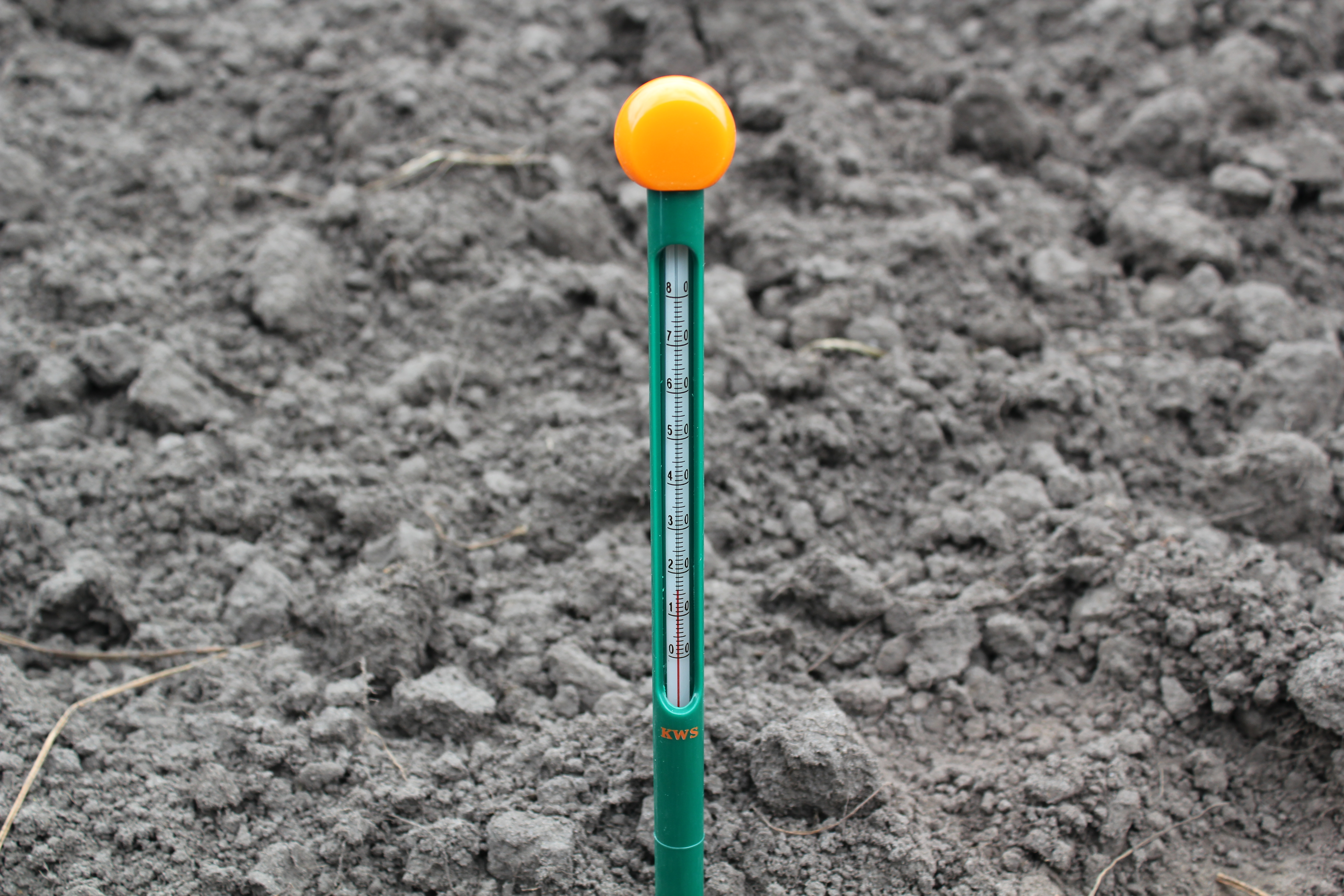 Semez à une température du sol à la profondeur de semis d'au moins 10 degrés.