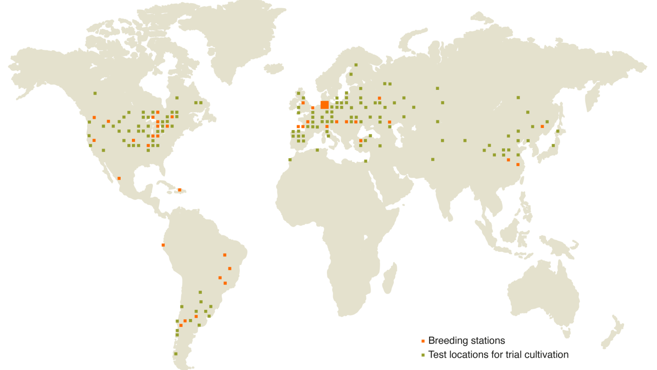 Mapa mundial con las estaciones de mejoramiento y las zonas de ensayo de KWS marcadas
