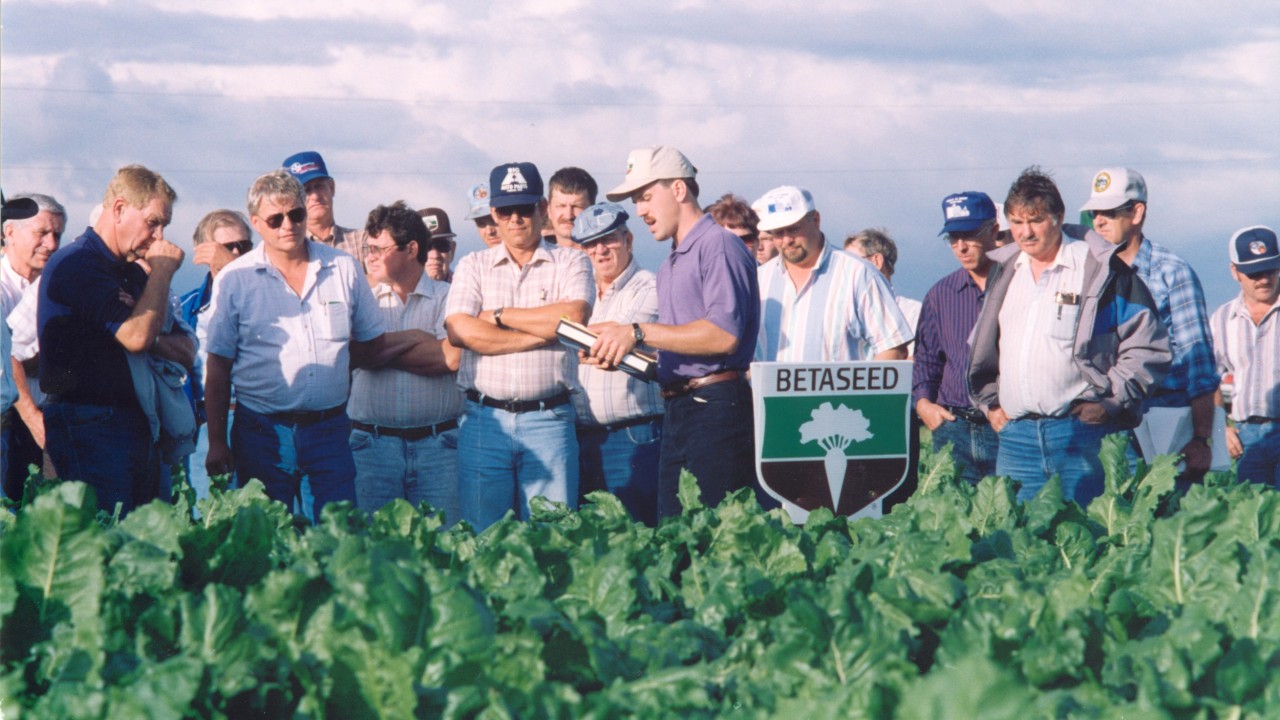 American farmers inspecting sugarbeets in the field