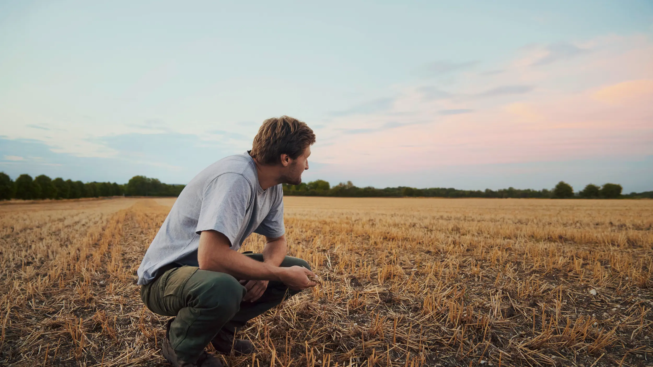 Man on his harvested field