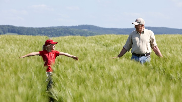 Granddaughter and grandfather in the field