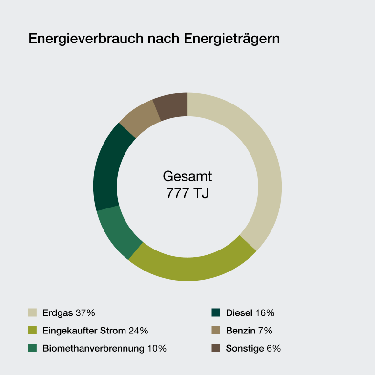 Grafische Darstellung der wichtigsten Kennzahlen zum Energieverbrauch bei KWS nach Energieart