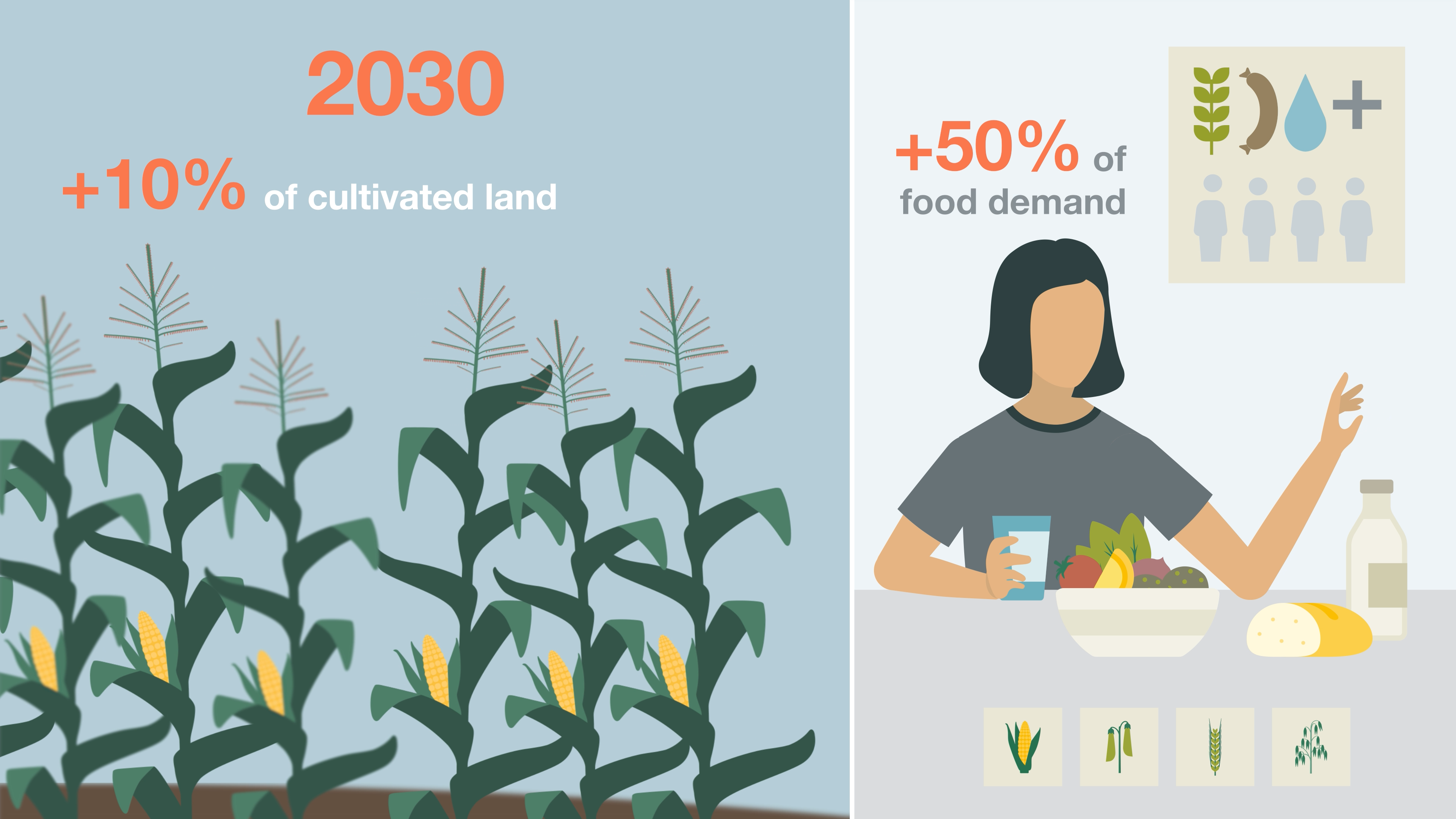 increase cultivated land and increase demand