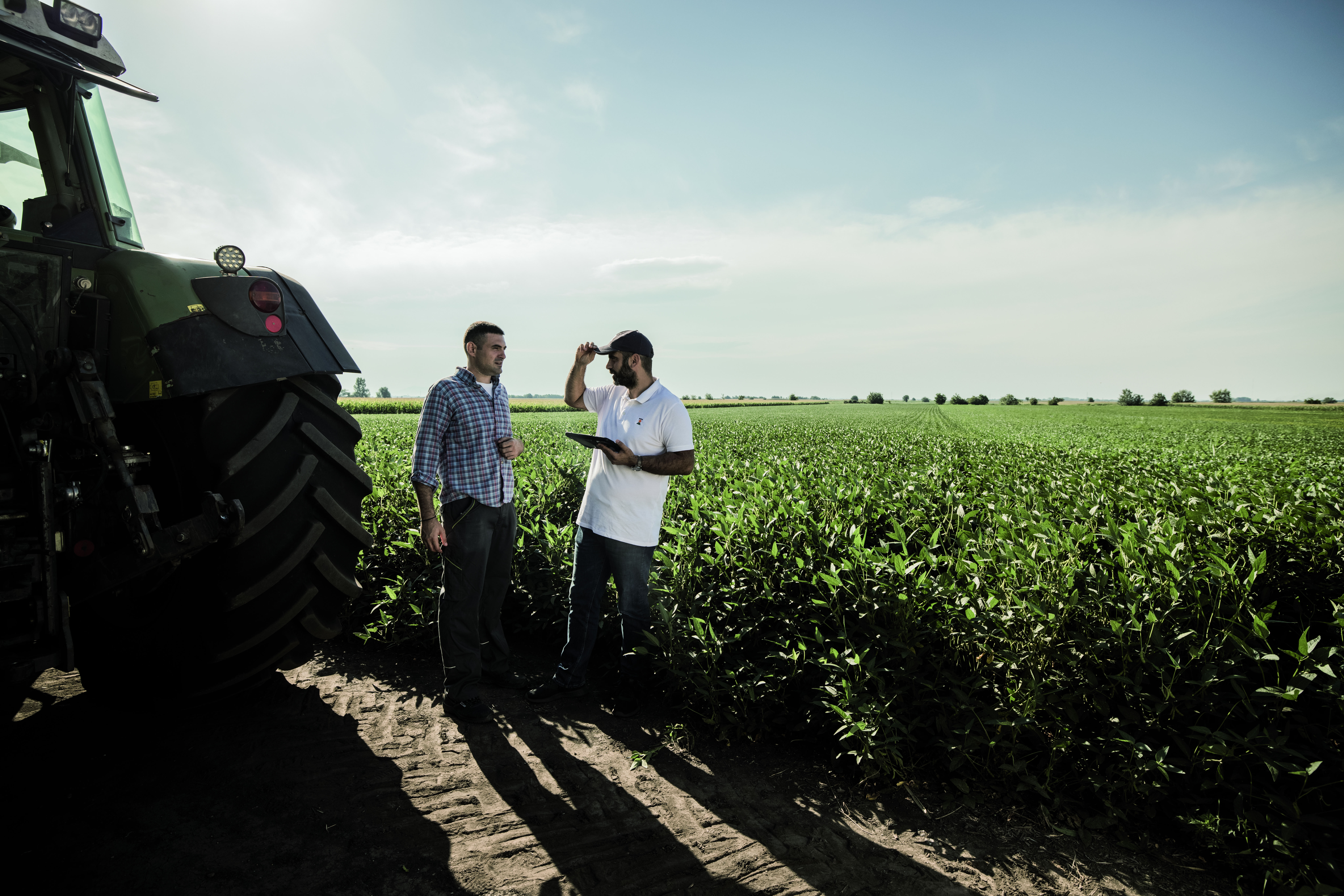 Farmer and consultant in soy field