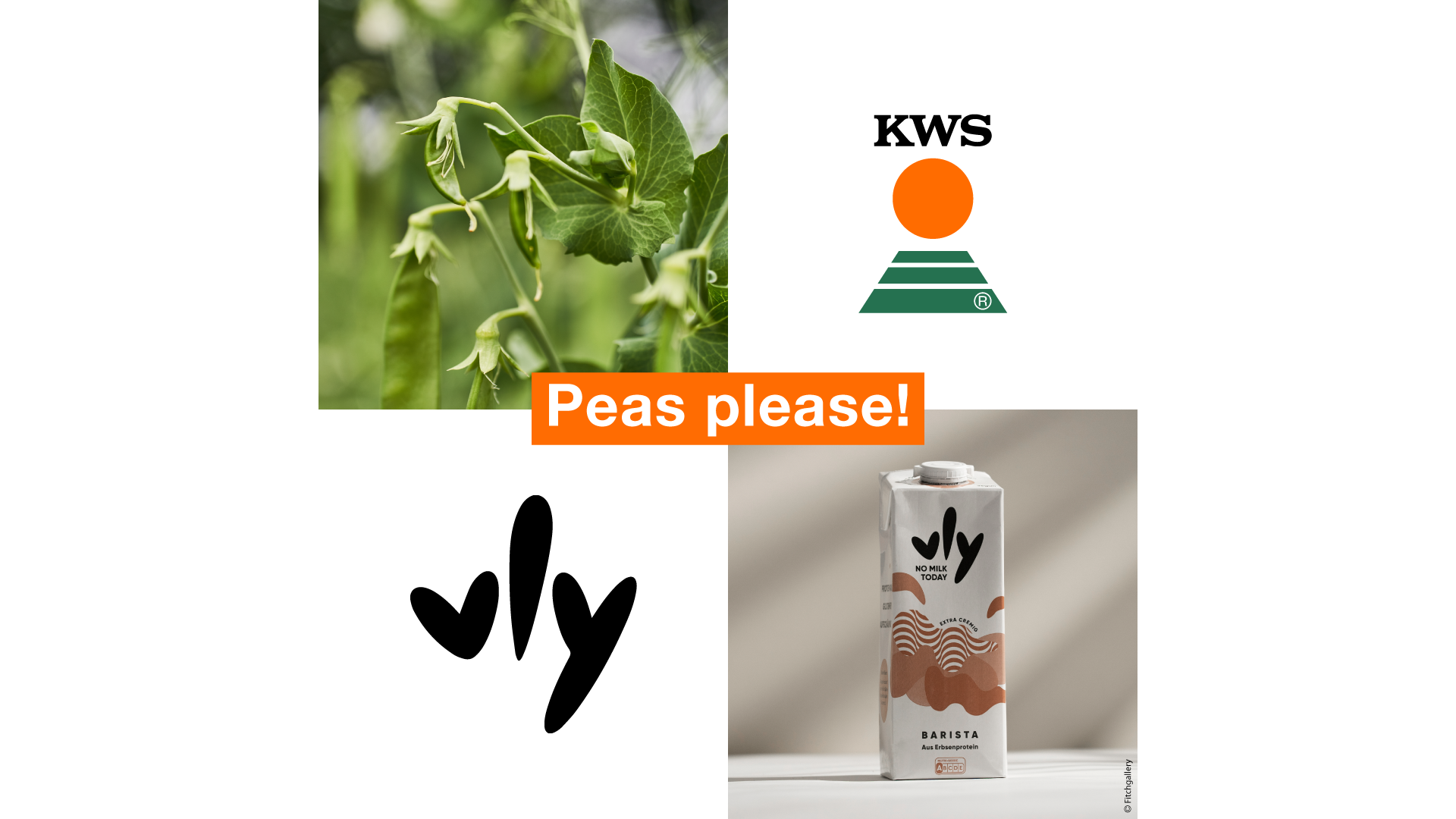 KWS nimmt Partnerschaft mit vly auf: Weiterentwicklung pflanzenbasierter Lebensmittel