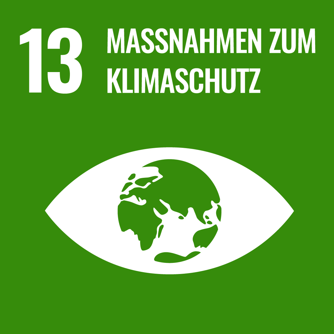 SDG-13-DE.jpg