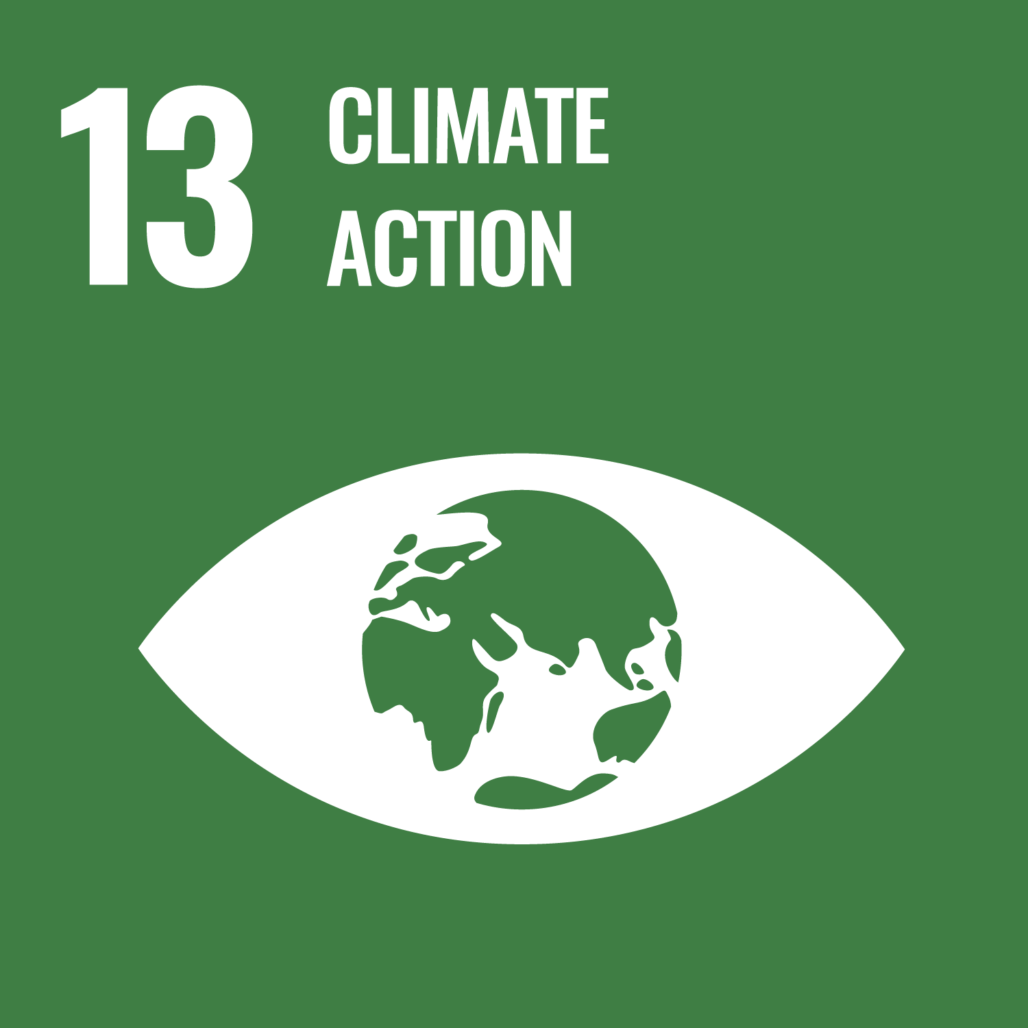 SDG-13-EN.png
