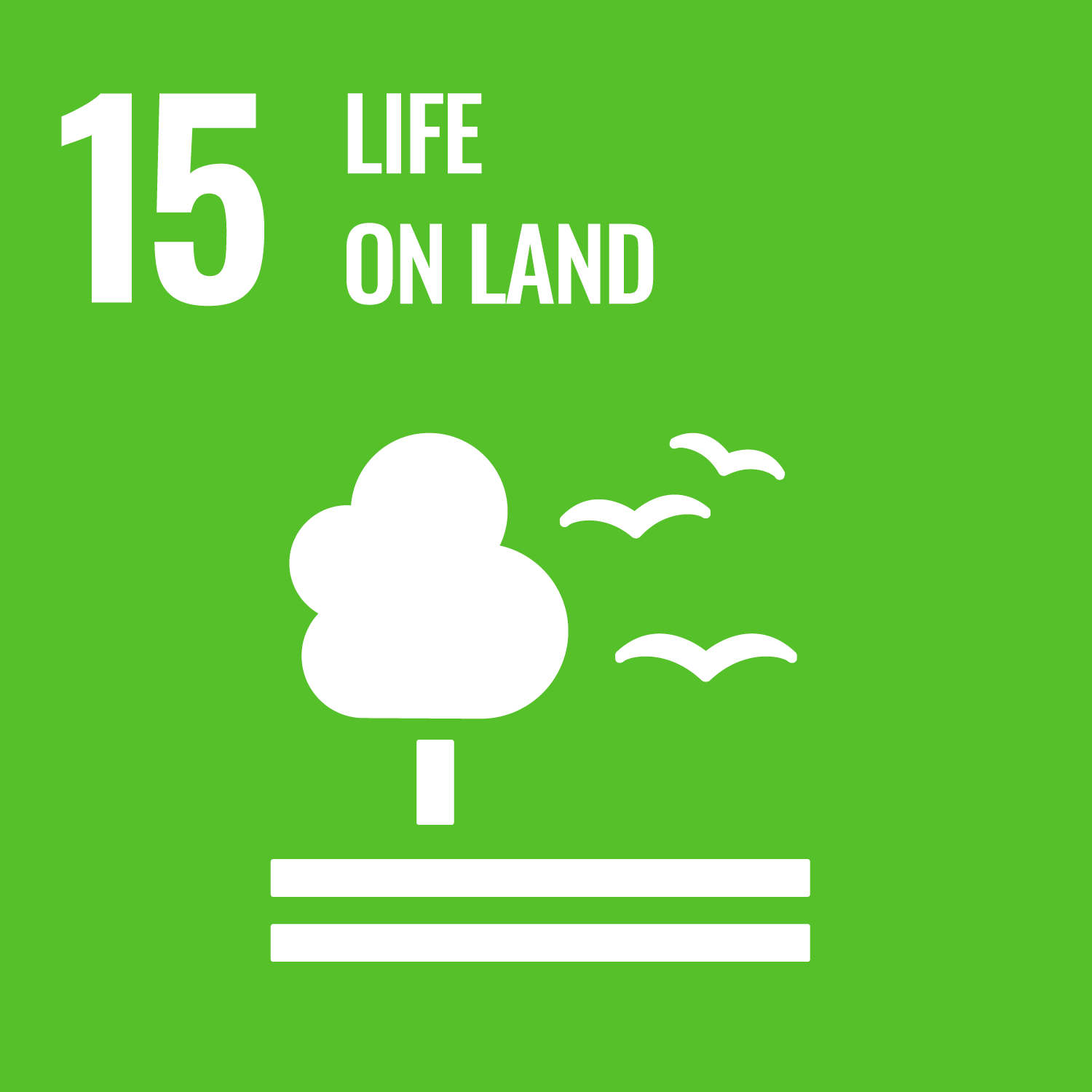 SDG-15-EN.png