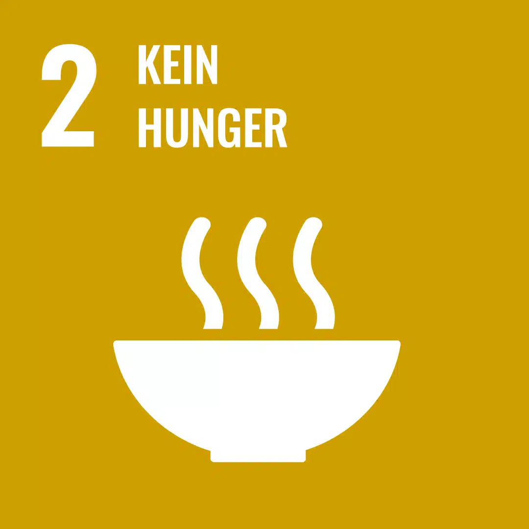 SDG-2-DE.jpg.webp