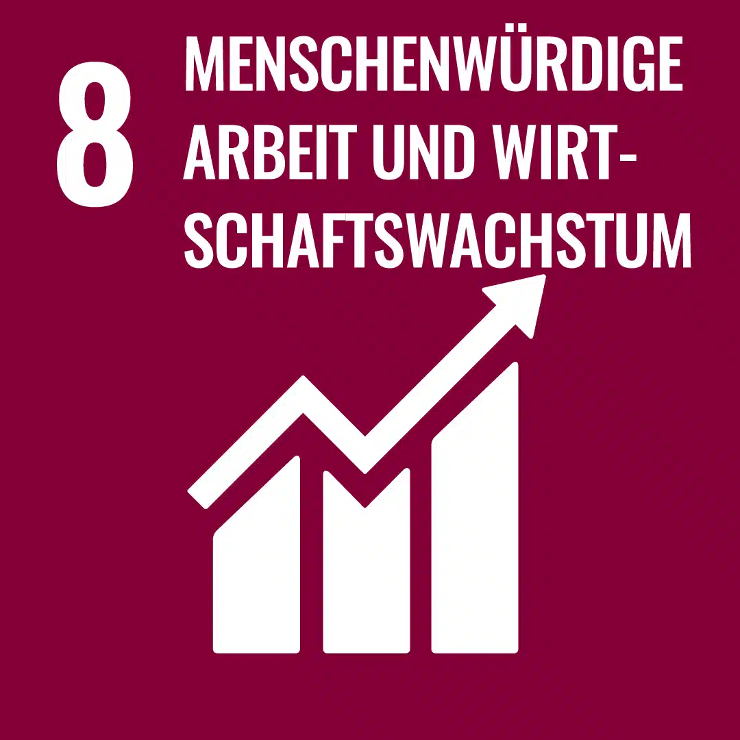 SDG-8-DE.jpg.webp