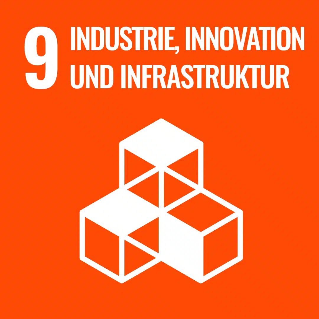 SDG-9-DE.jpg.webp
