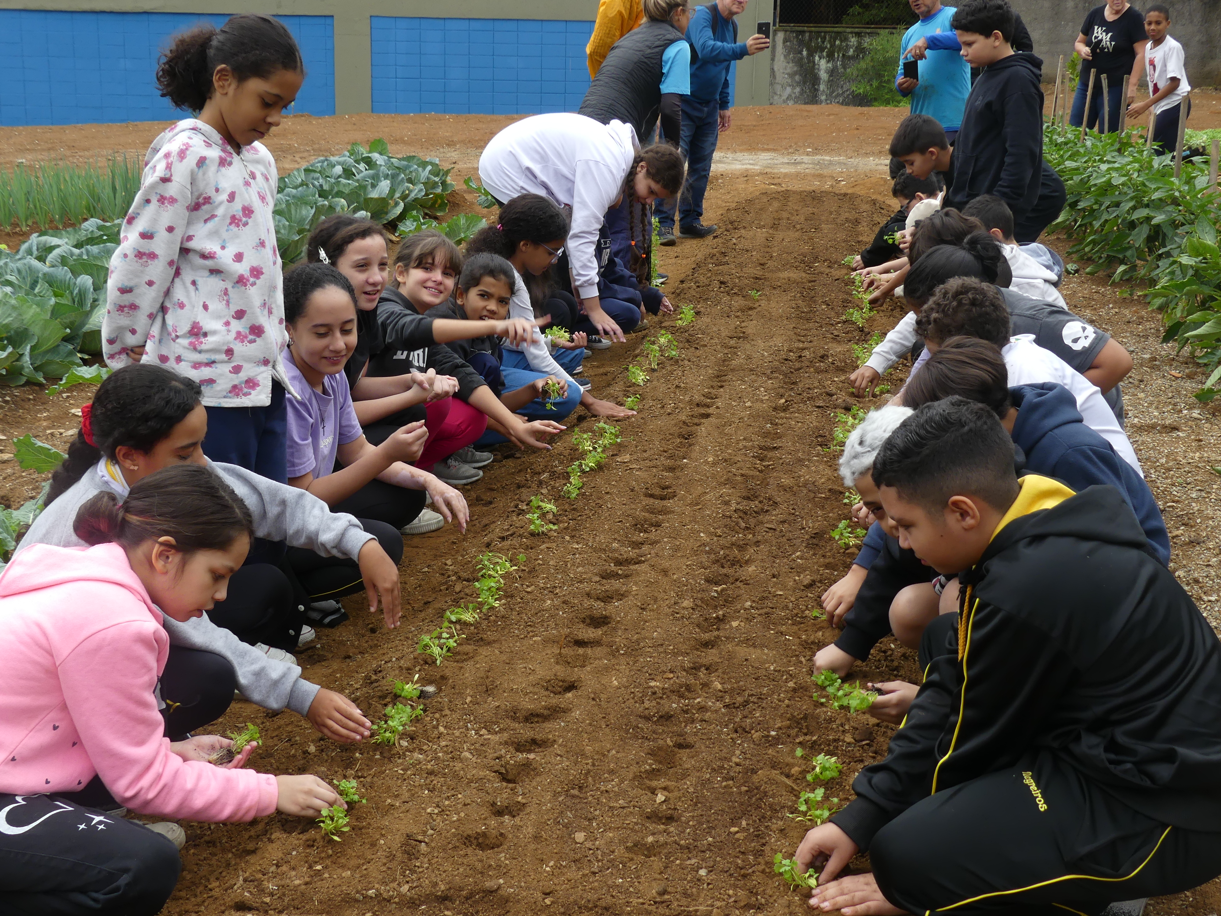 students planting seeds